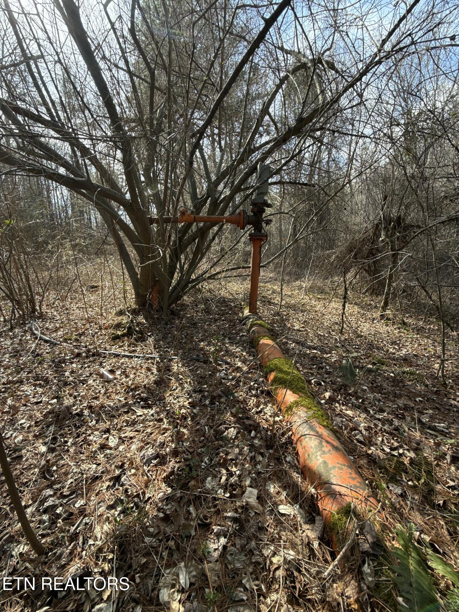 Skull Creek Road Robbins TN 37852