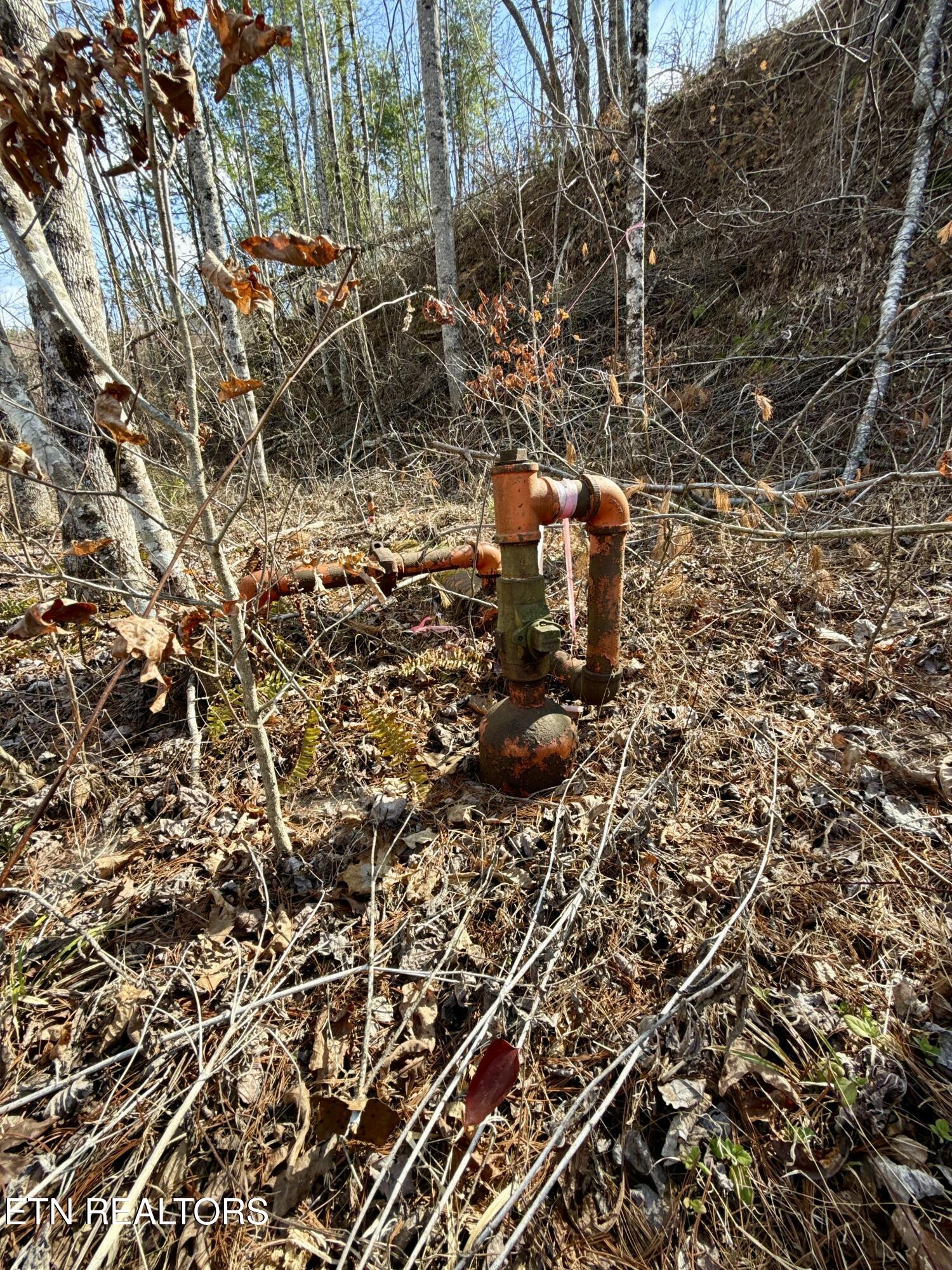 Skull Creek Road Robbins TN 37852