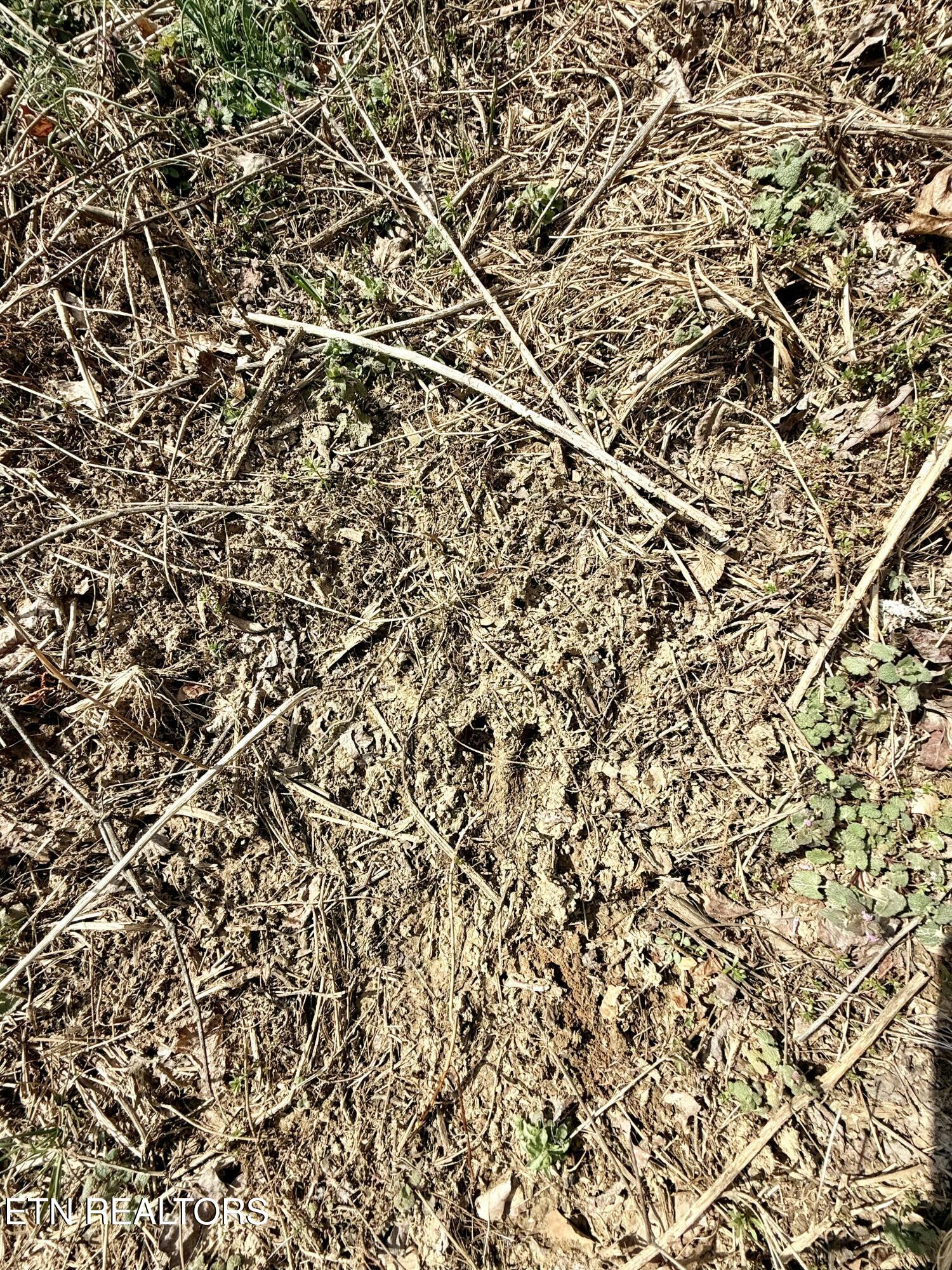 Skull Creek Road Robbins TN 37852