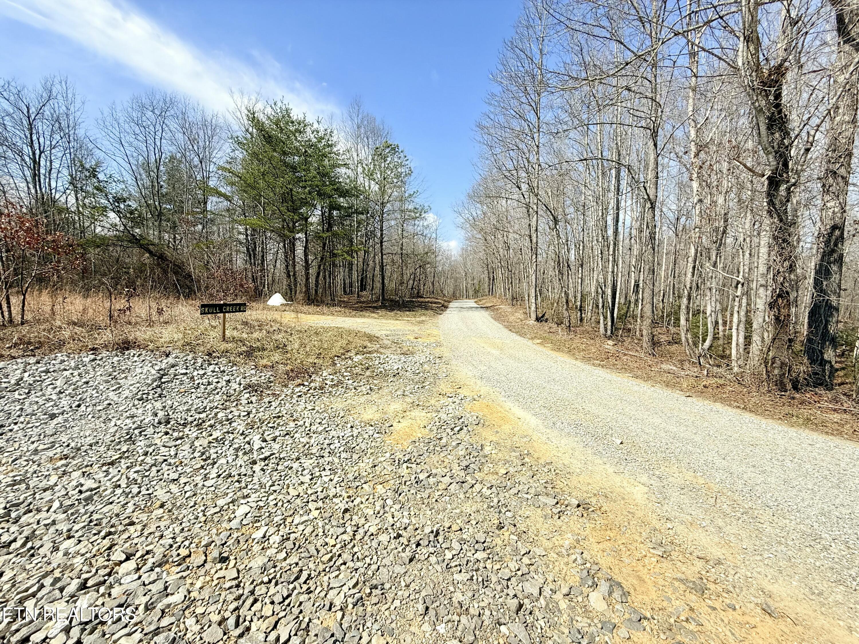 Skull Creek Road Robbins TN 37852