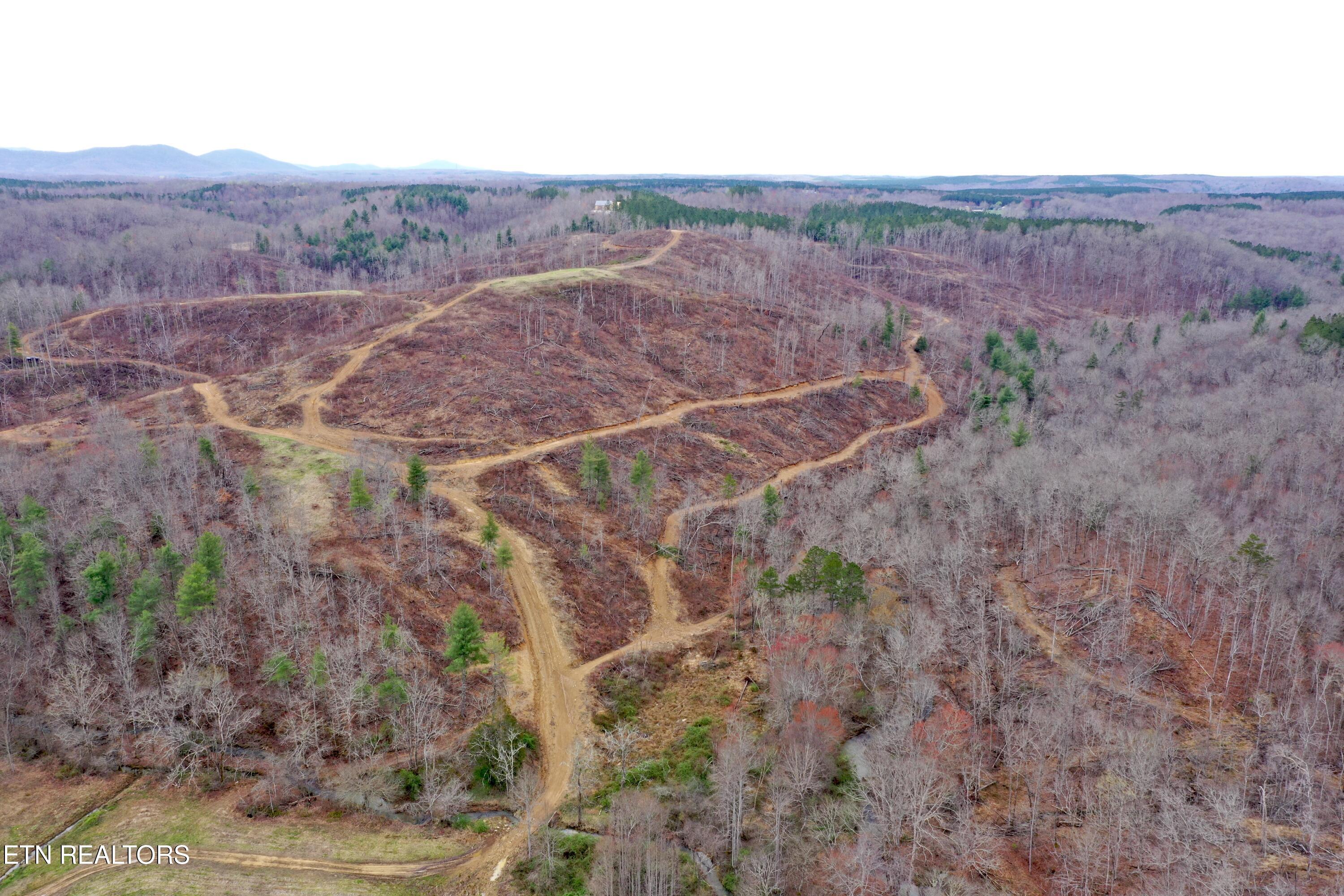 Skull Creek Road Robbins TN 37852