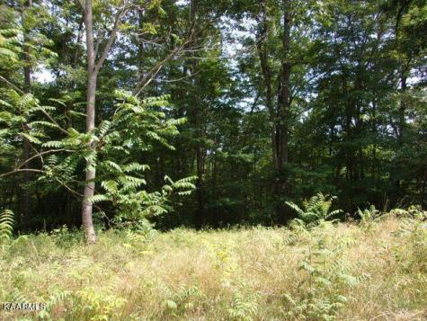Lot 254 Marble Point Way New Tazewell TN 37825