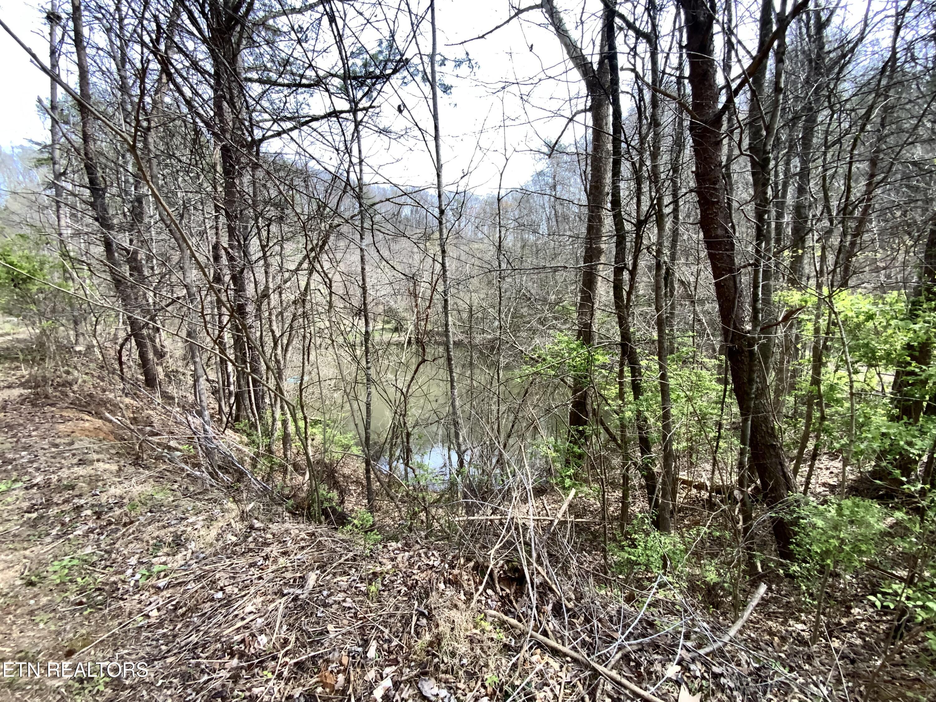 819 Jama Way Maryville TN 37803