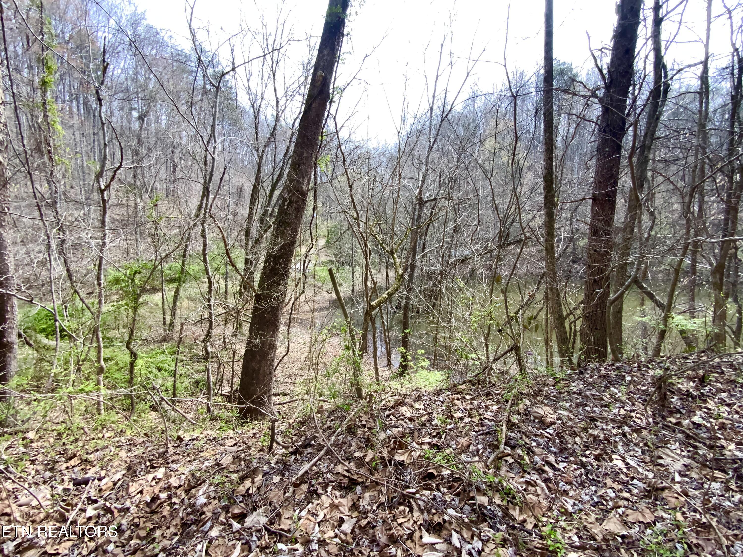 819 Jama Way Maryville TN 37803