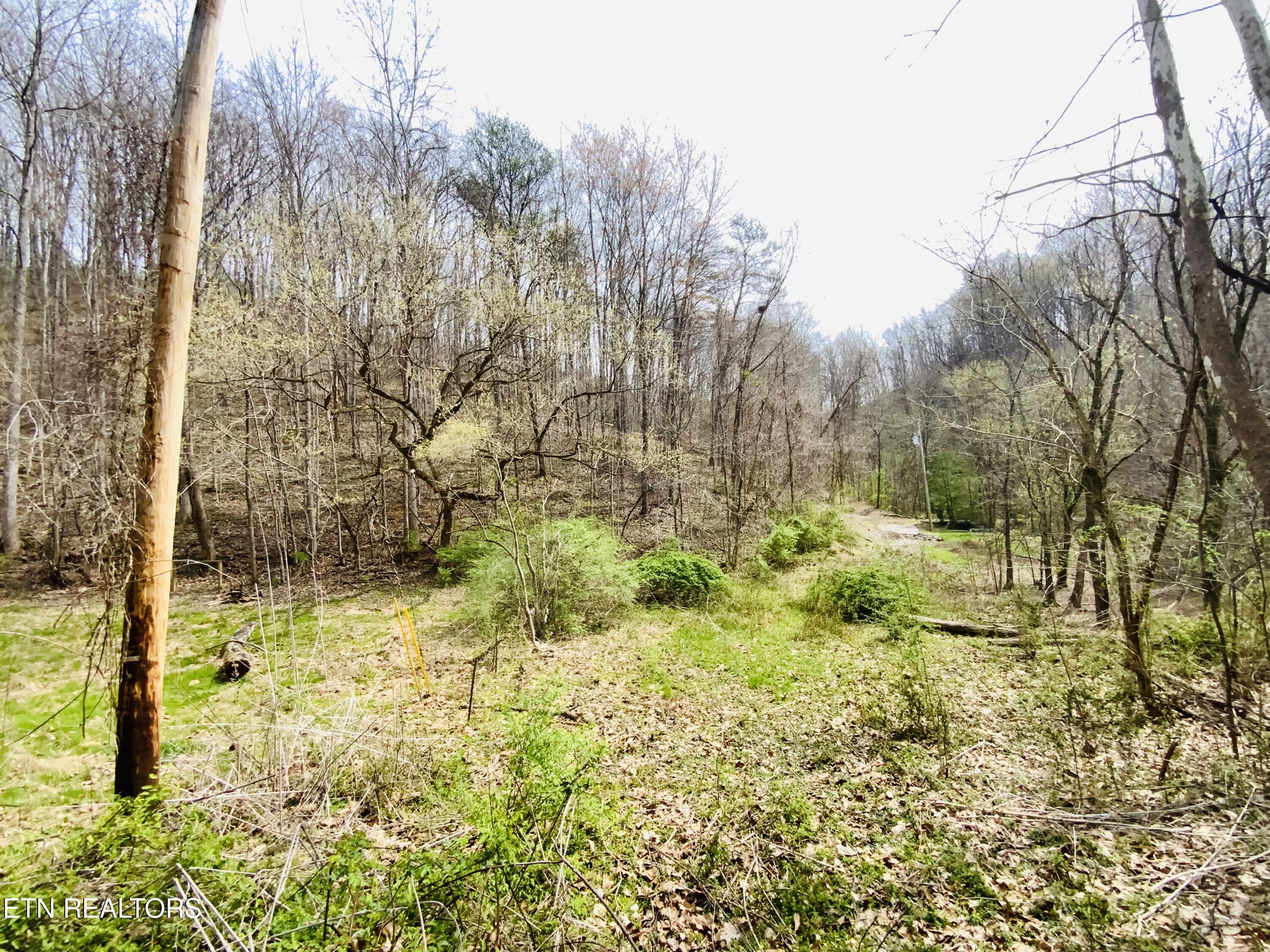 819 Jama Way Maryville TN 37803
