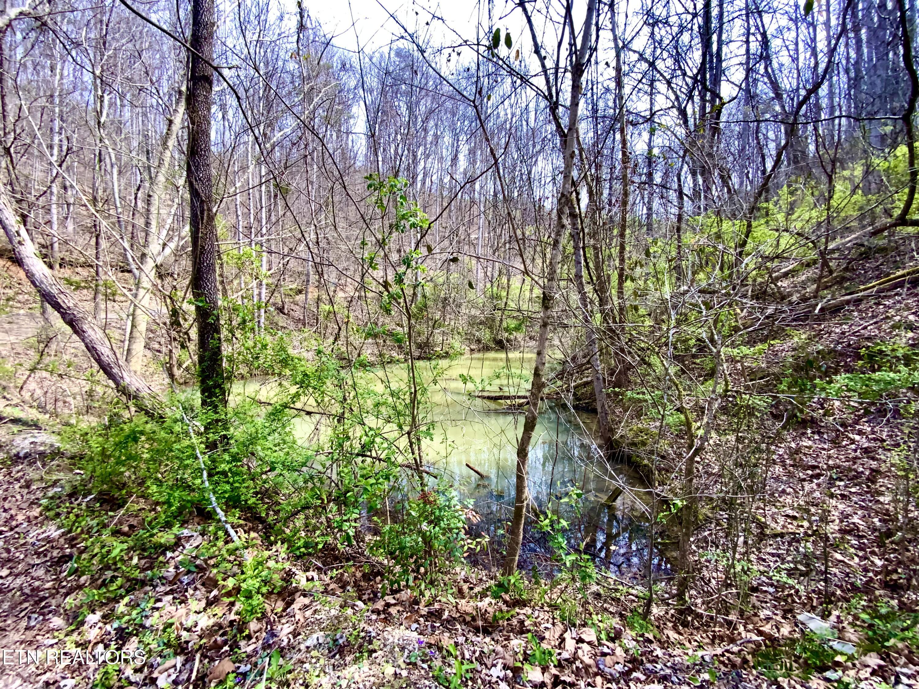 819 Jama Way Maryville TN 37803