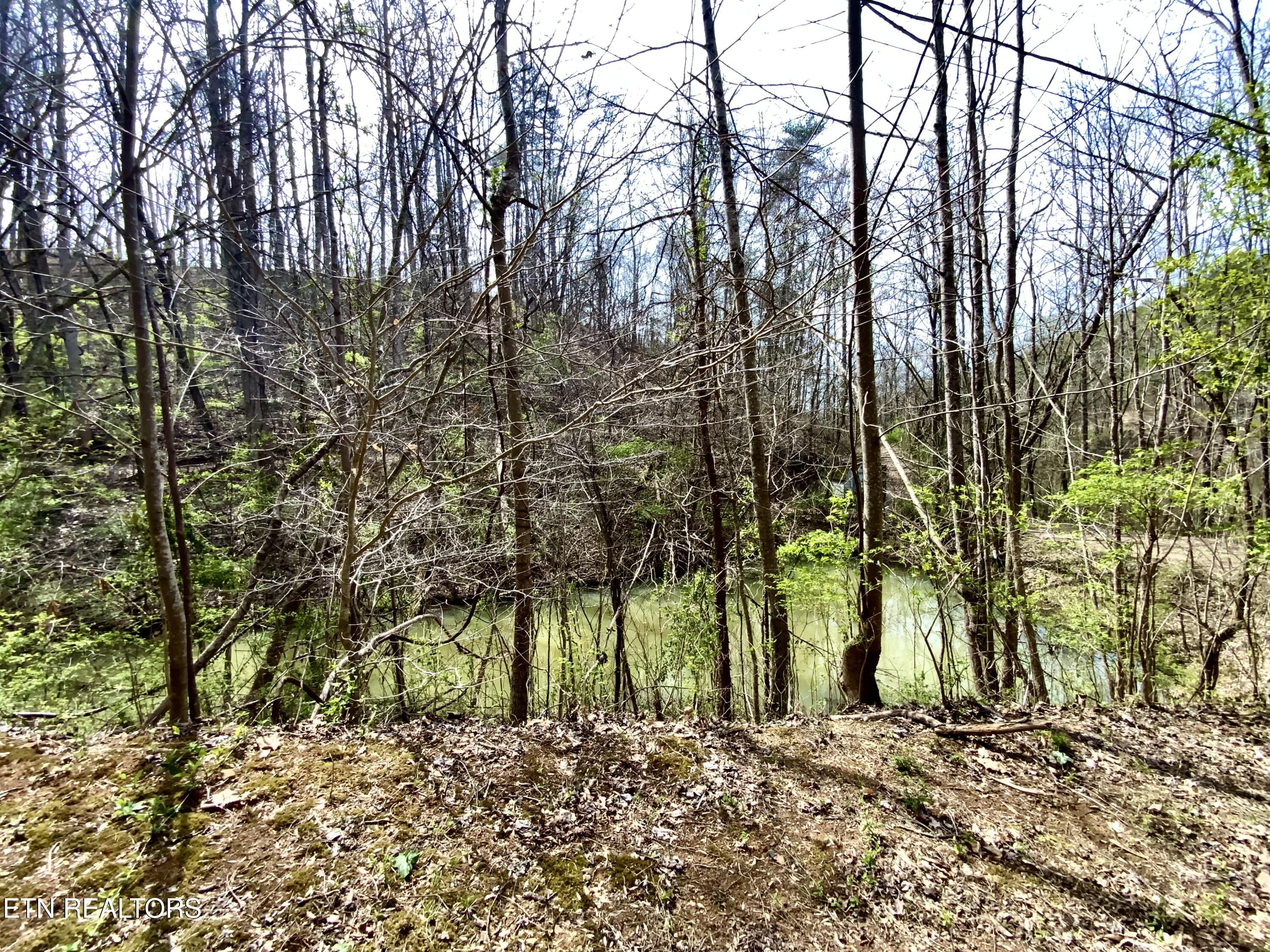 819 Jama Way Maryville TN 37803