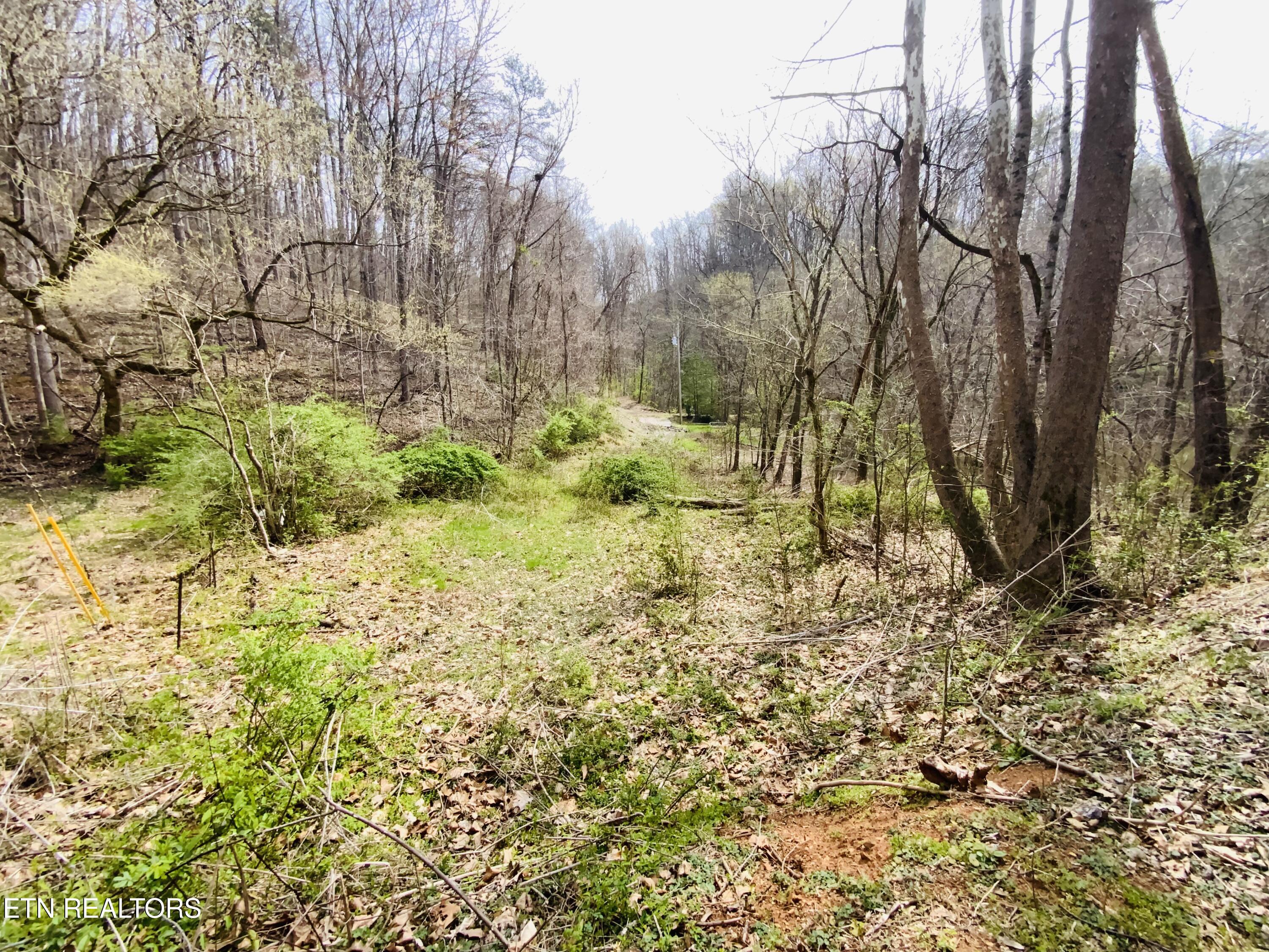 819 Jama Way Maryville TN 37803