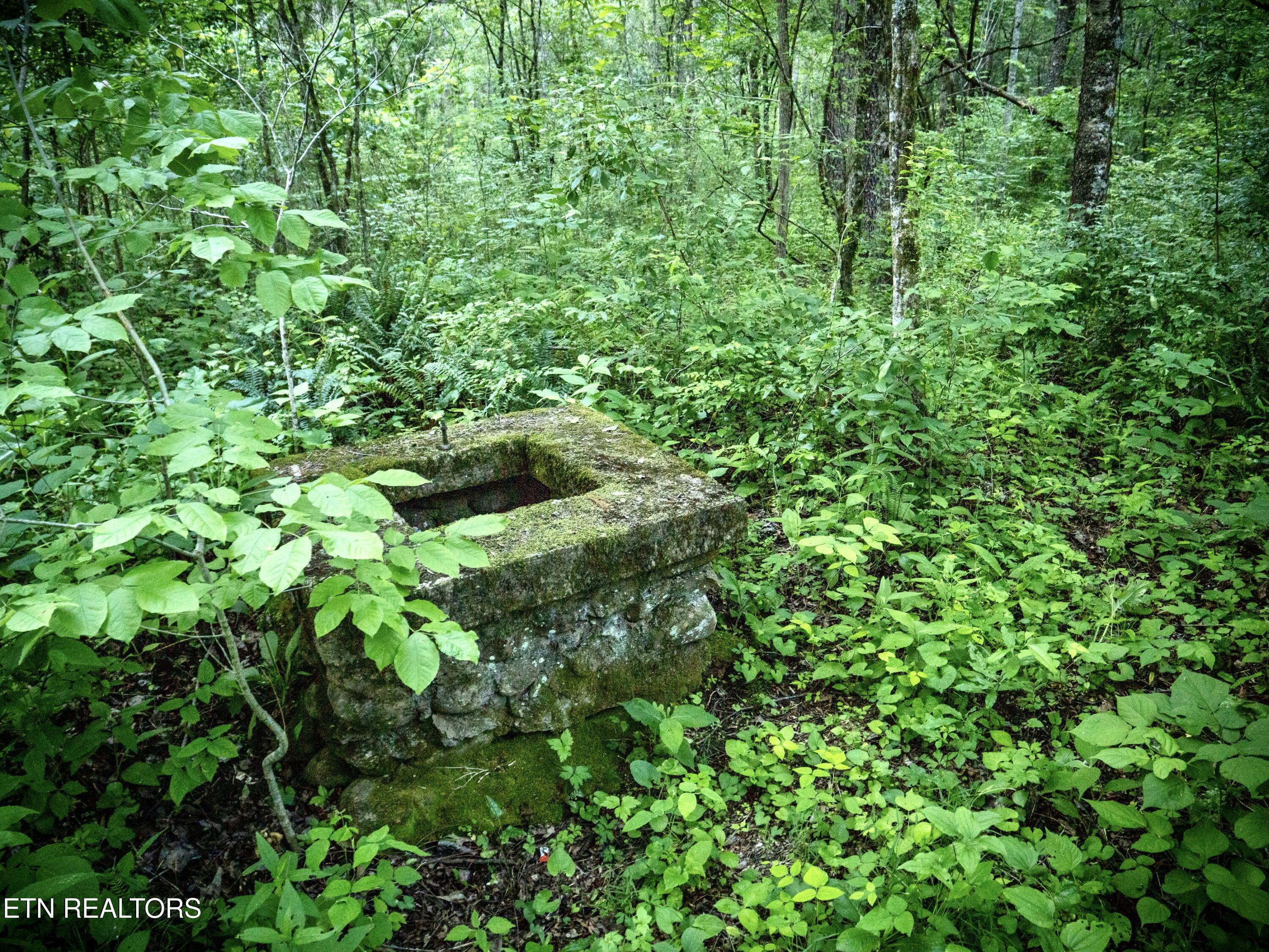 3895 Coppinger Cove Road Sequatchie TN 37364
