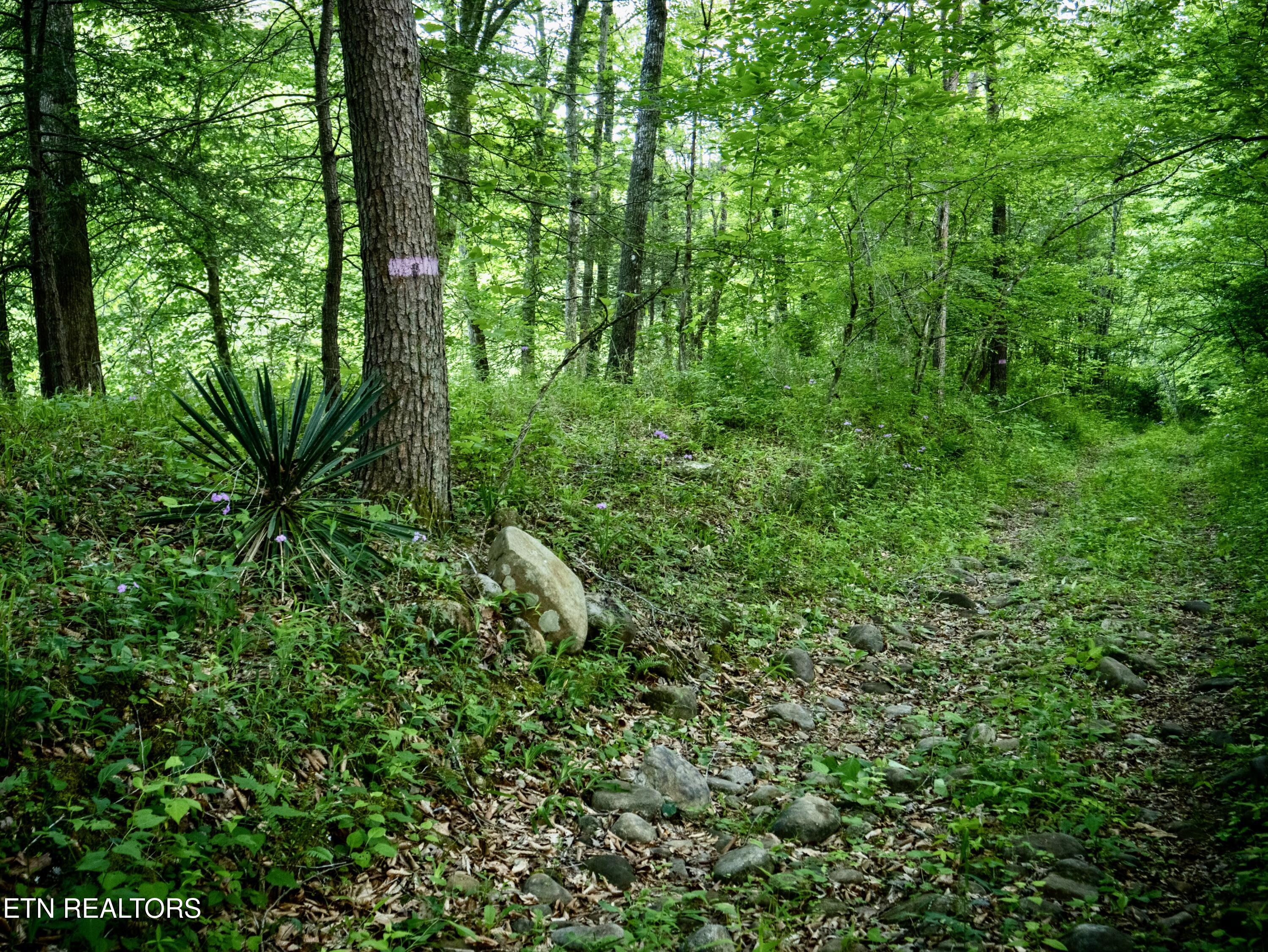 3895 Coppinger Cove Road Sequatchie TN 37364