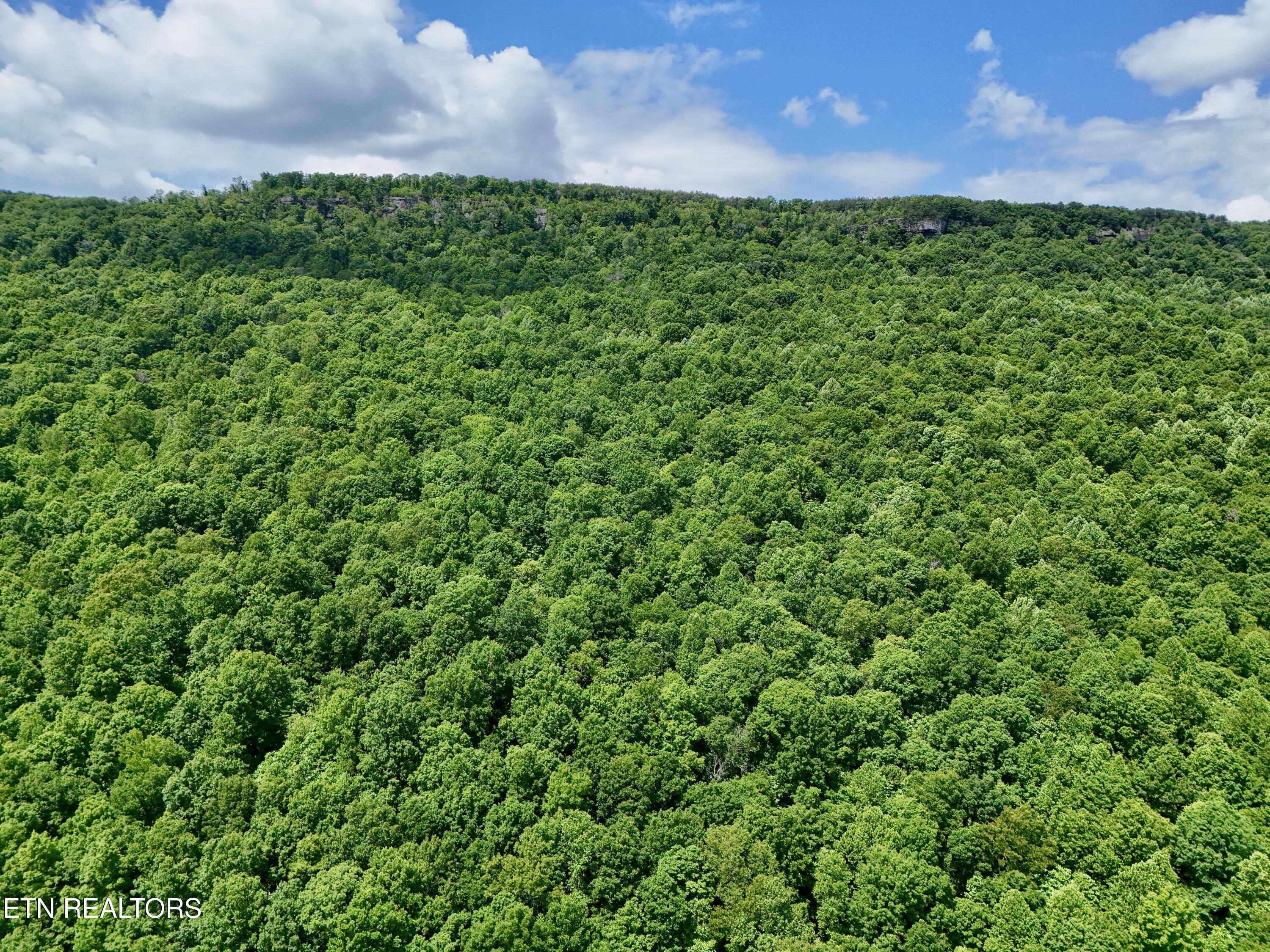 3895 Coppinger Cove Road Sequatchie TN 37364
