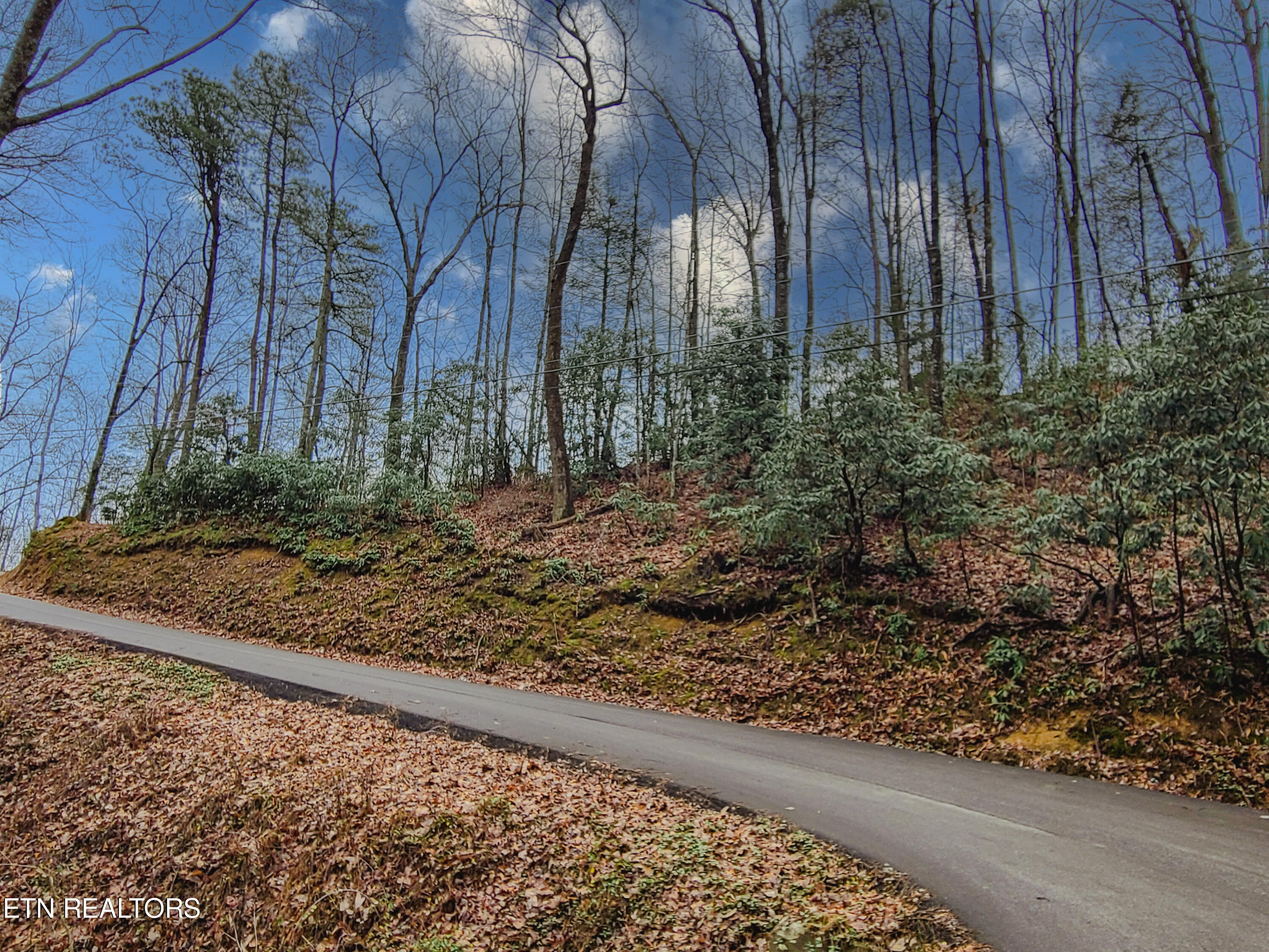 Lot 20 Luzerne Drive Gatlinburg TN 37738