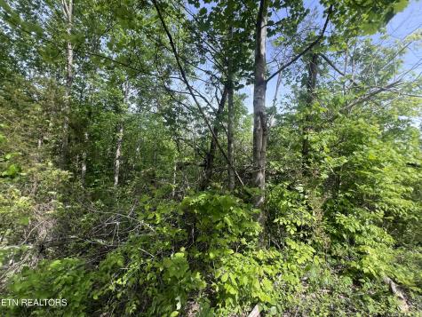Big Hollow Road Monroe TN 38573