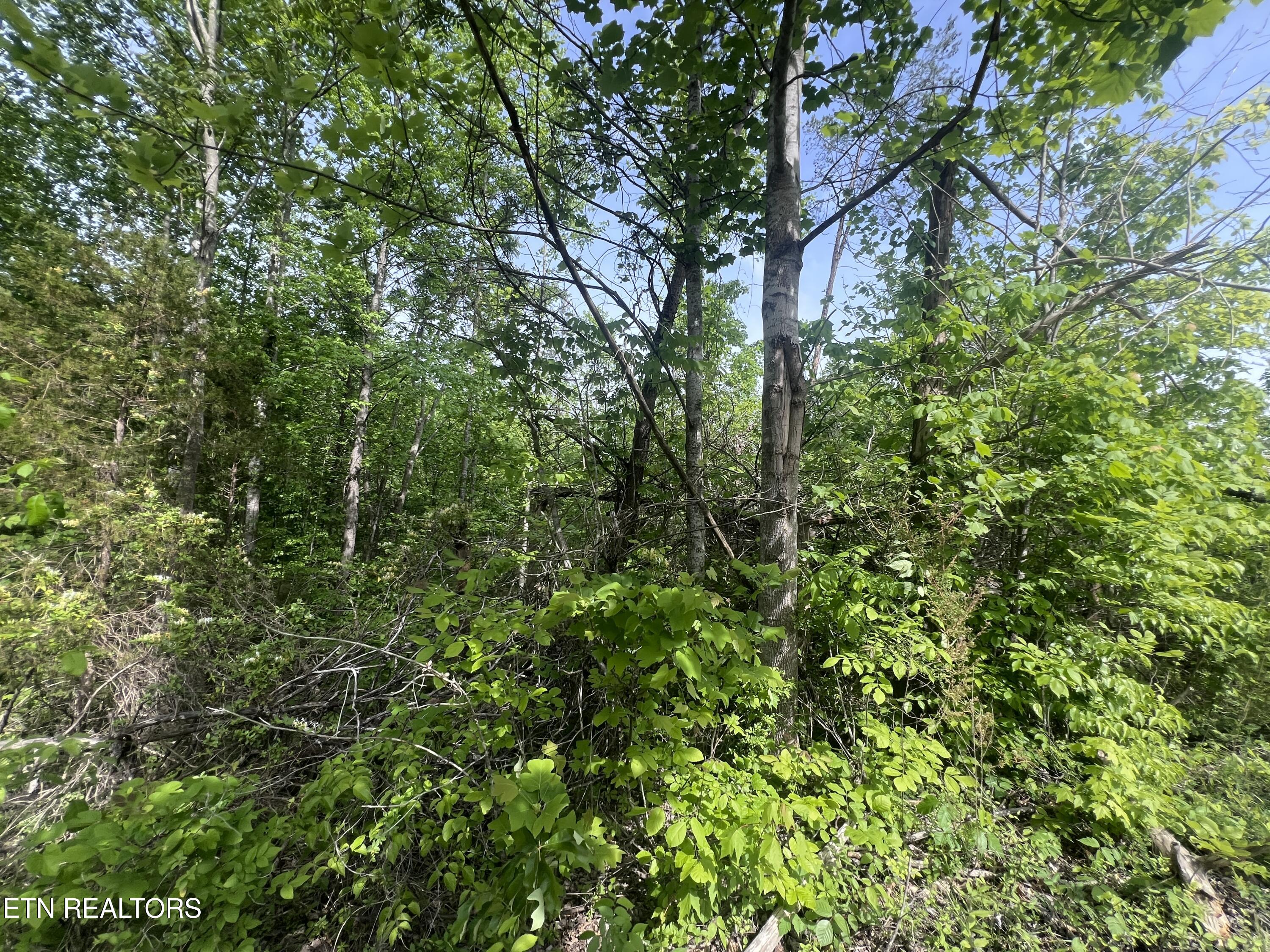 Big Hollow Road Monroe TN 38573