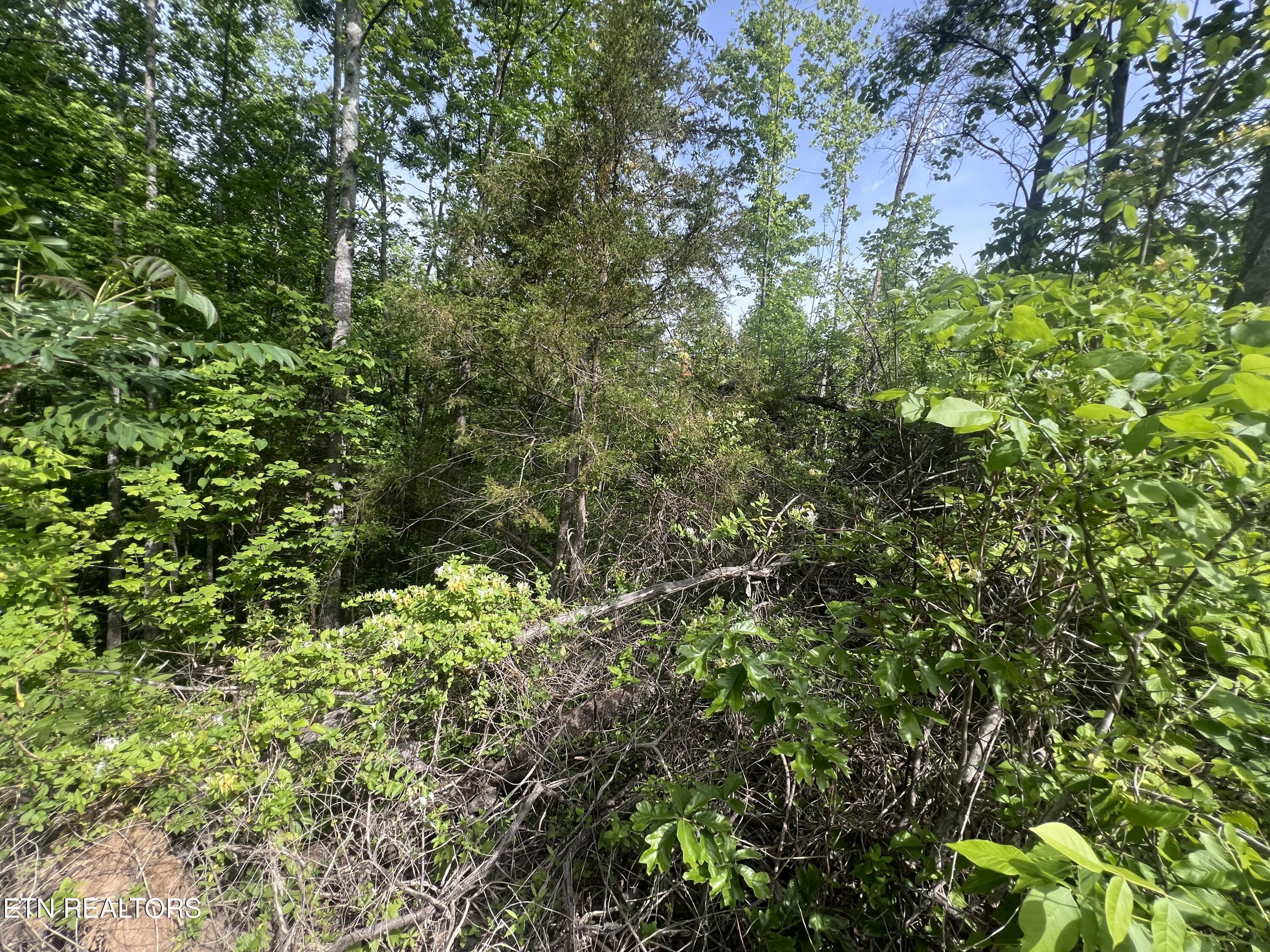 Big Hollow Road Monroe TN 38573