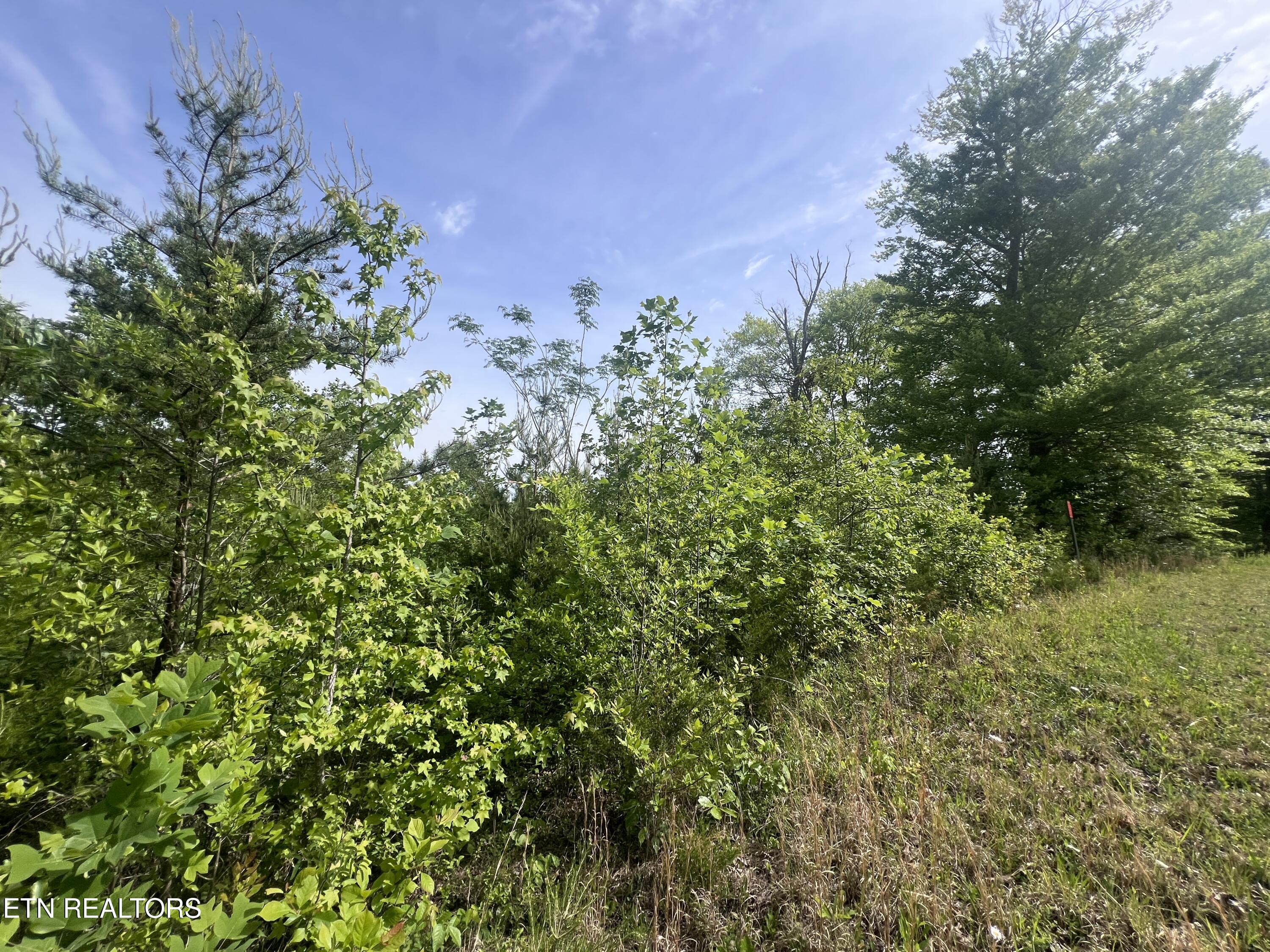 Big Hollow Road Monroe TN 38573