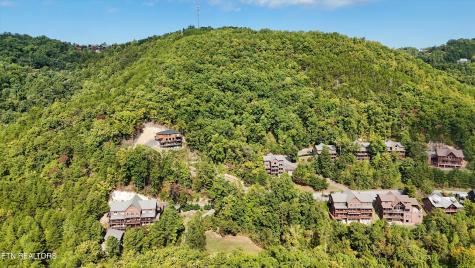Blackthorn Trail Sevierville TN 37876