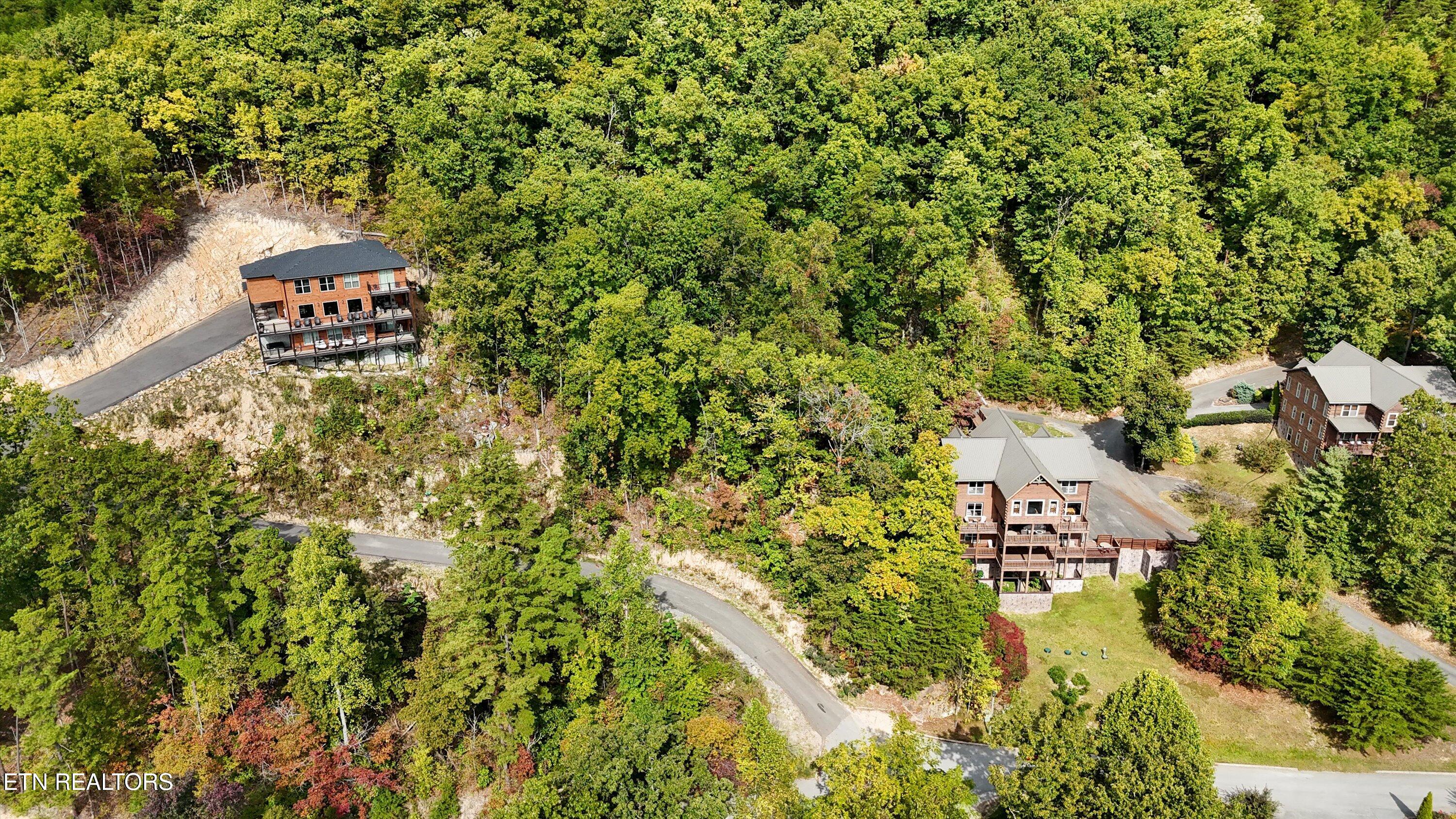 Blackthorn Trail Sevierville TN 37876
