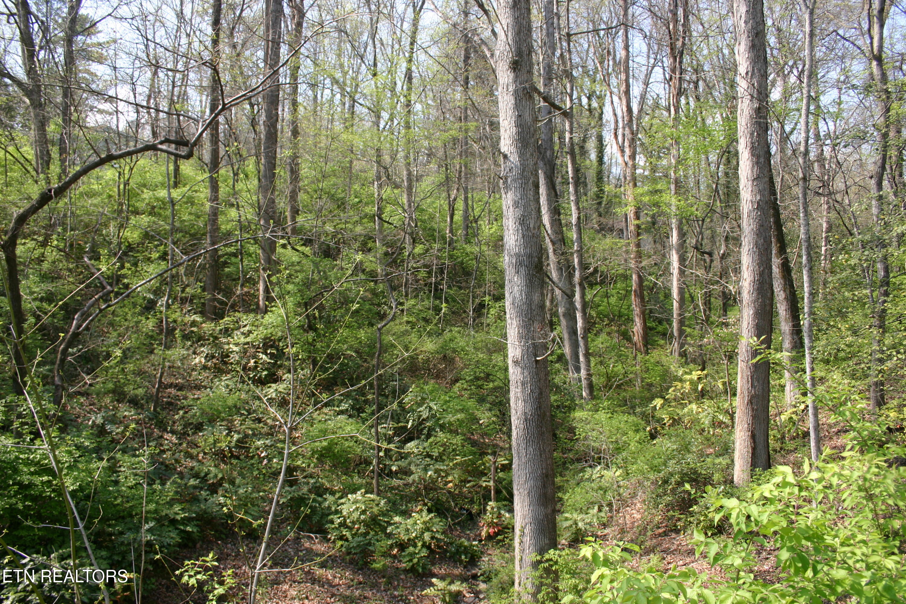 Lot 12 Vanhorn Road Knoxville TN 37918