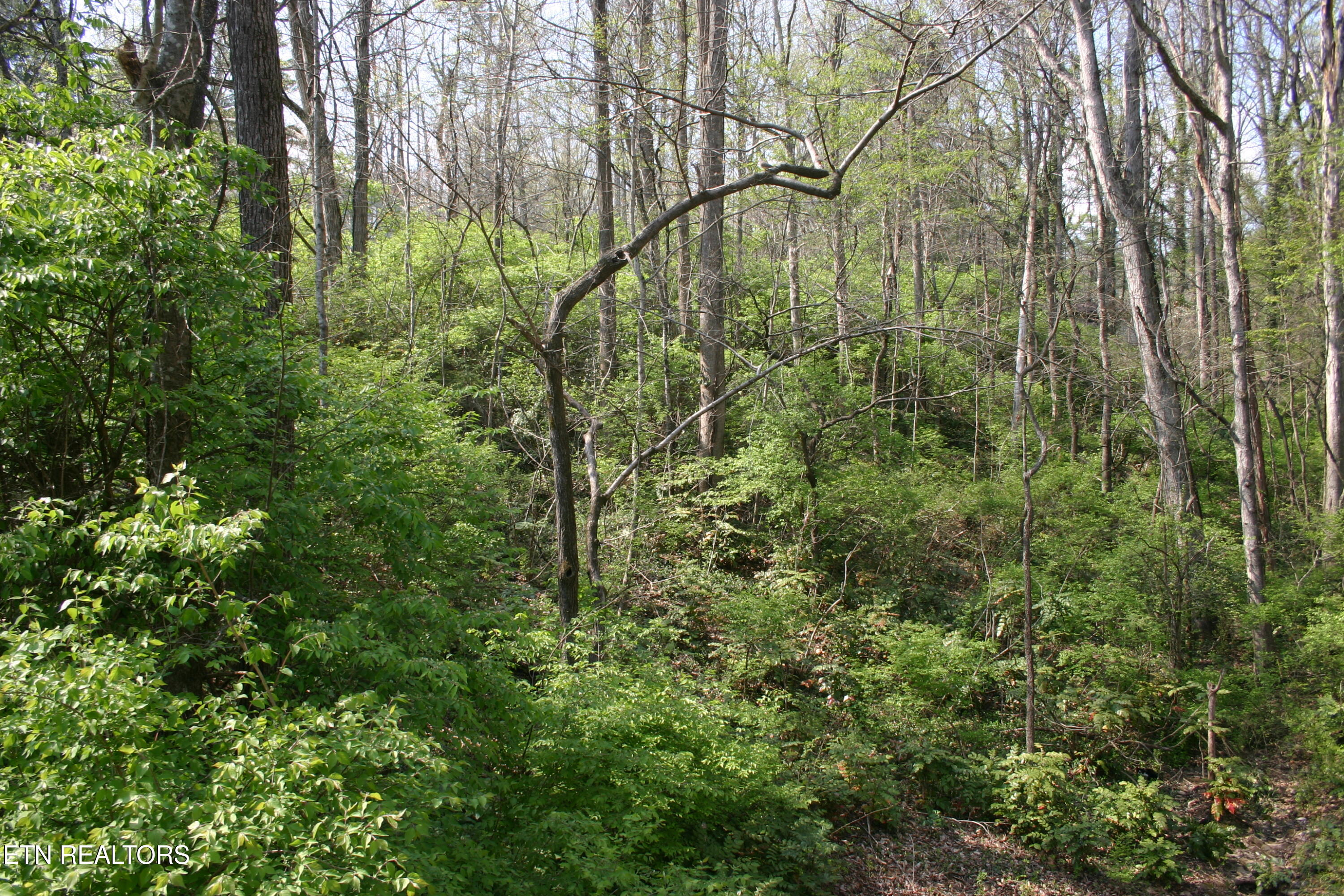 Lot 12 Vanhorn Road Knoxville TN 37918