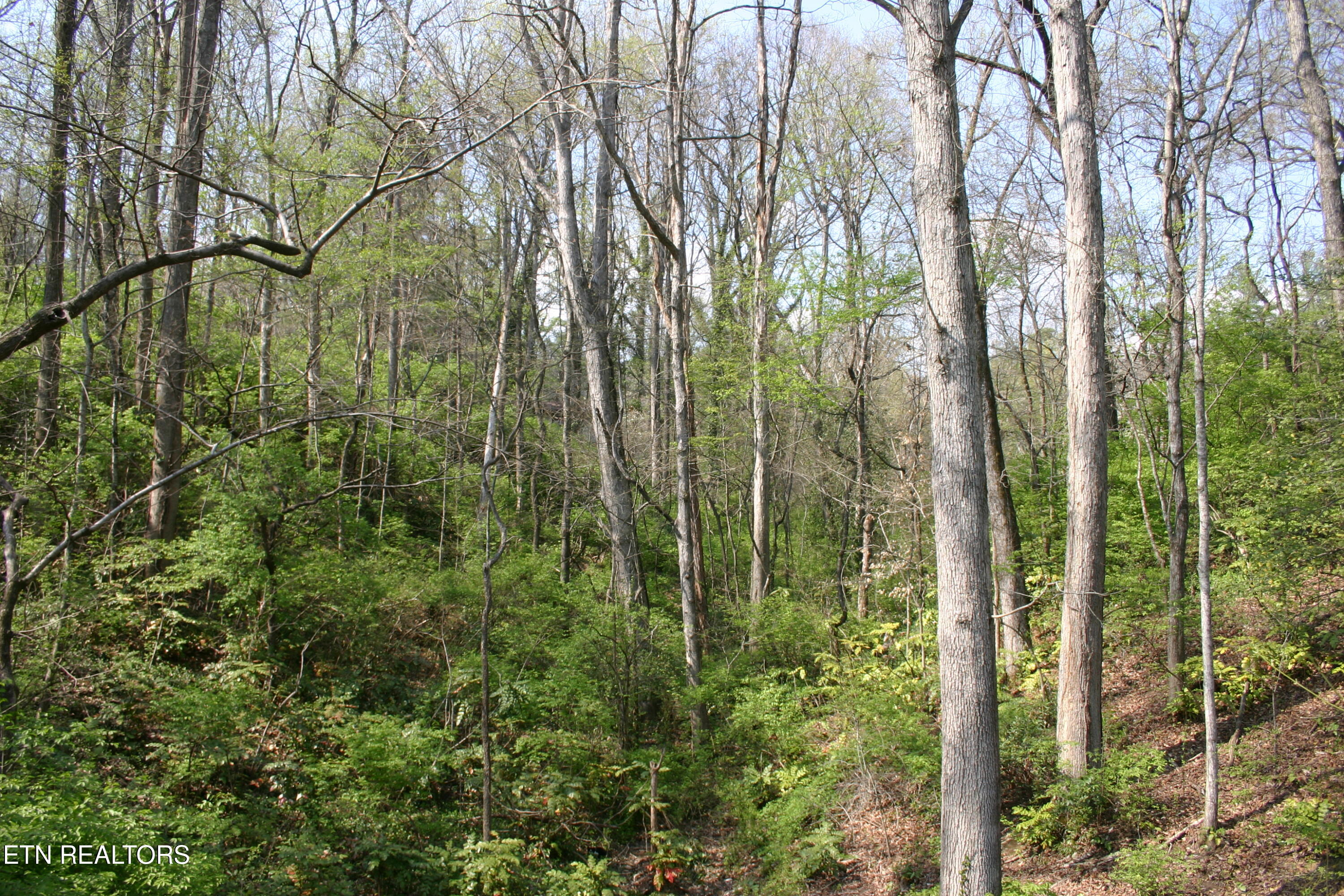 Lot 12 Vanhorn Road Knoxville TN 37918