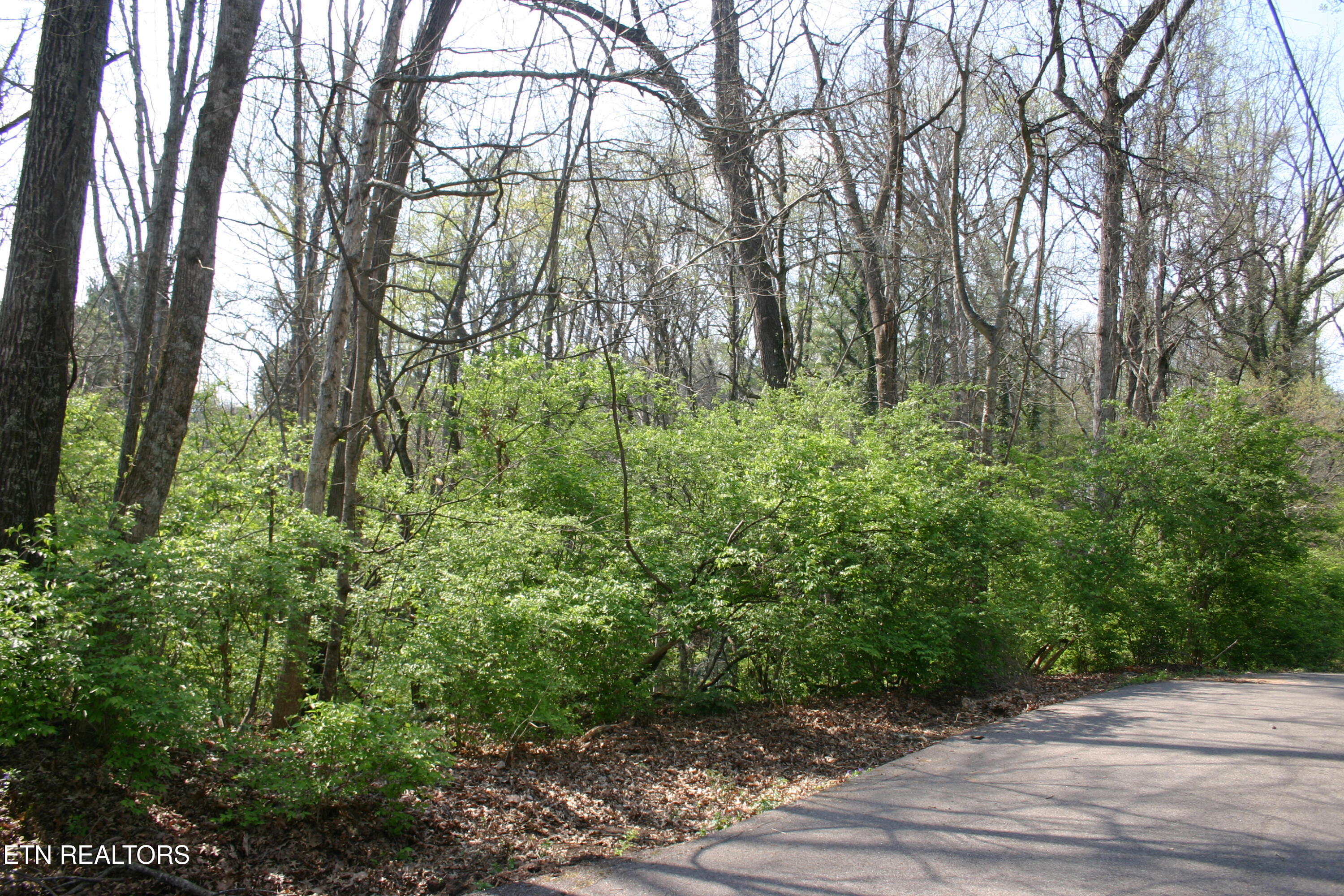 Lot 12 Vanhorn Road Knoxville TN 37918