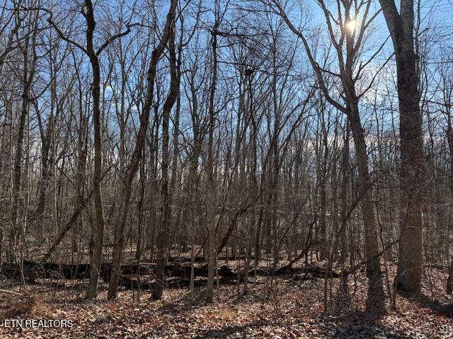 113 Overlook Cove Crossville TN 38558