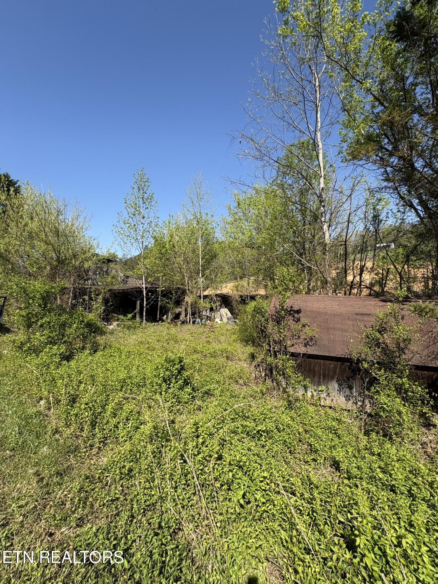 3755 Richardson Cove Road Sevierville TN 37876
