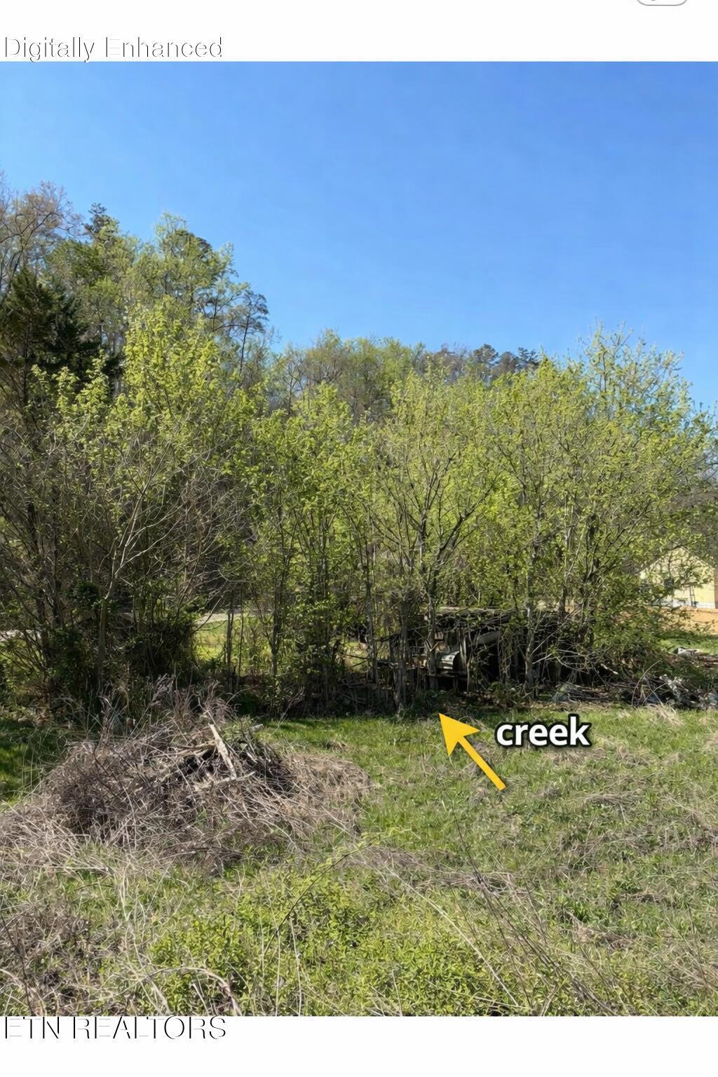 3755 Richardson Cove Road Sevierville TN 37876