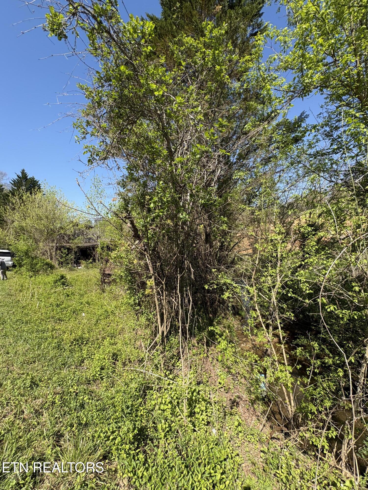 3755 Richardson Cove Road Sevierville TN 37876