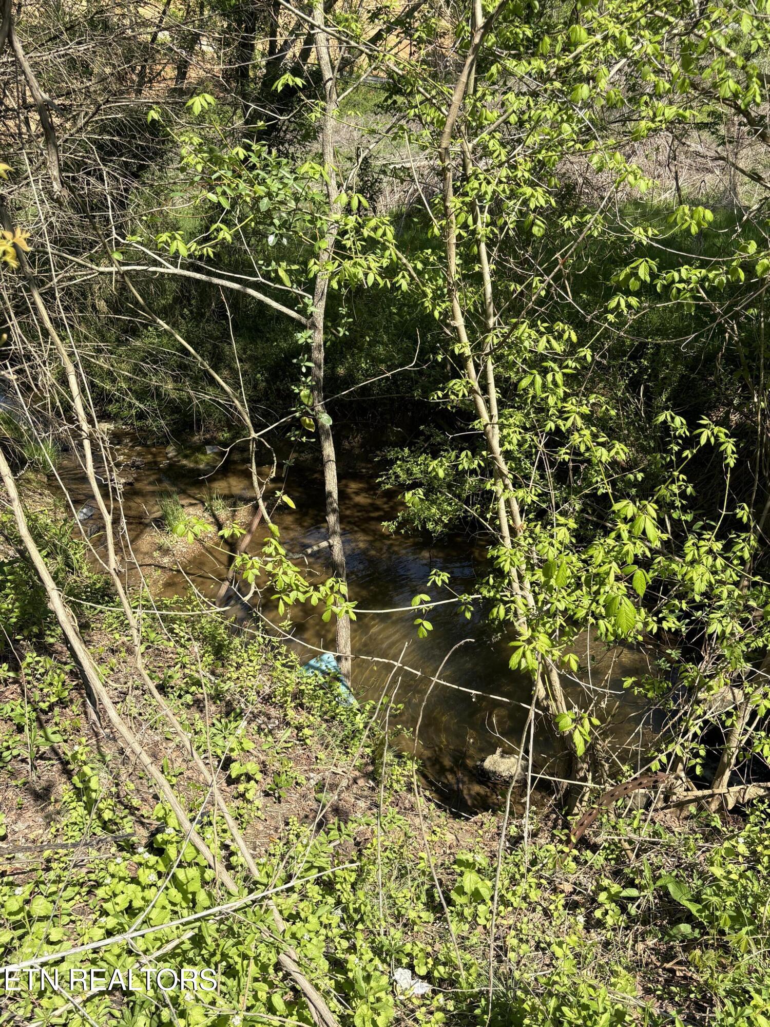 3755 Richardson Cove Road Sevierville TN 37876