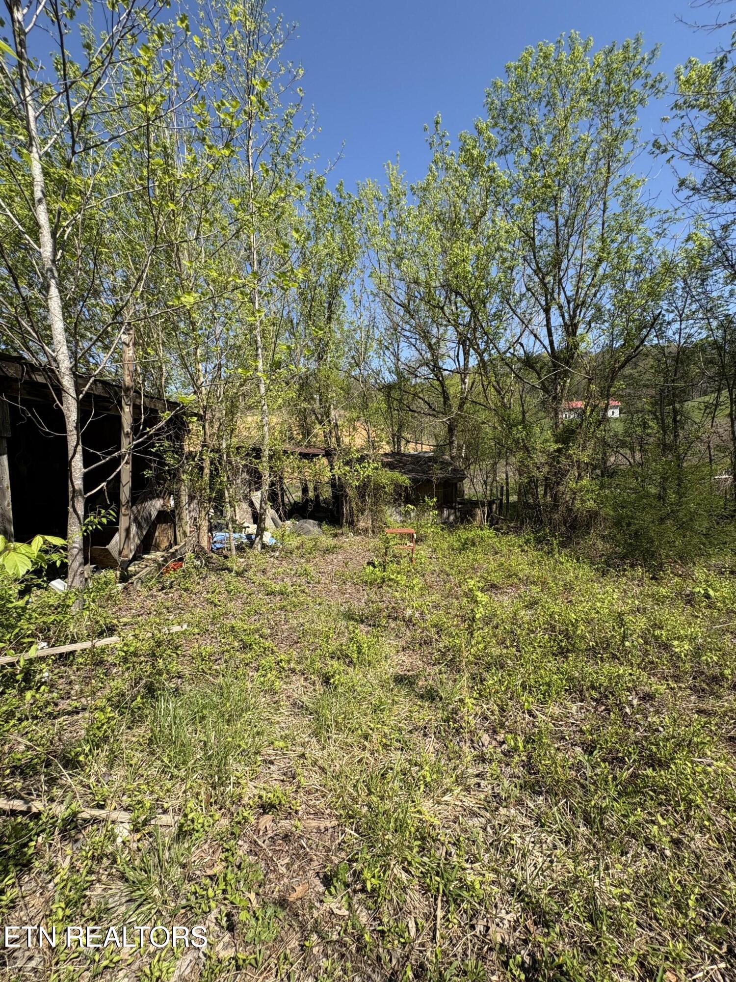 3755 Richardson Cove Road Sevierville TN 37876