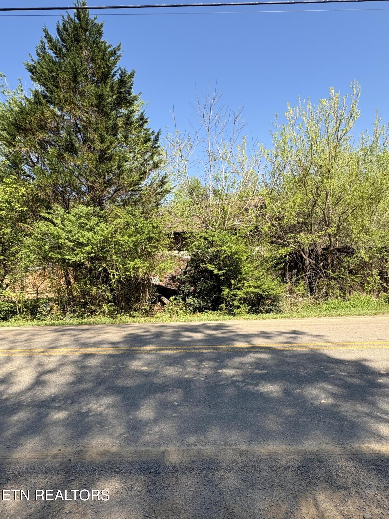 3755 Richardson Cove Road Sevierville TN 37876
