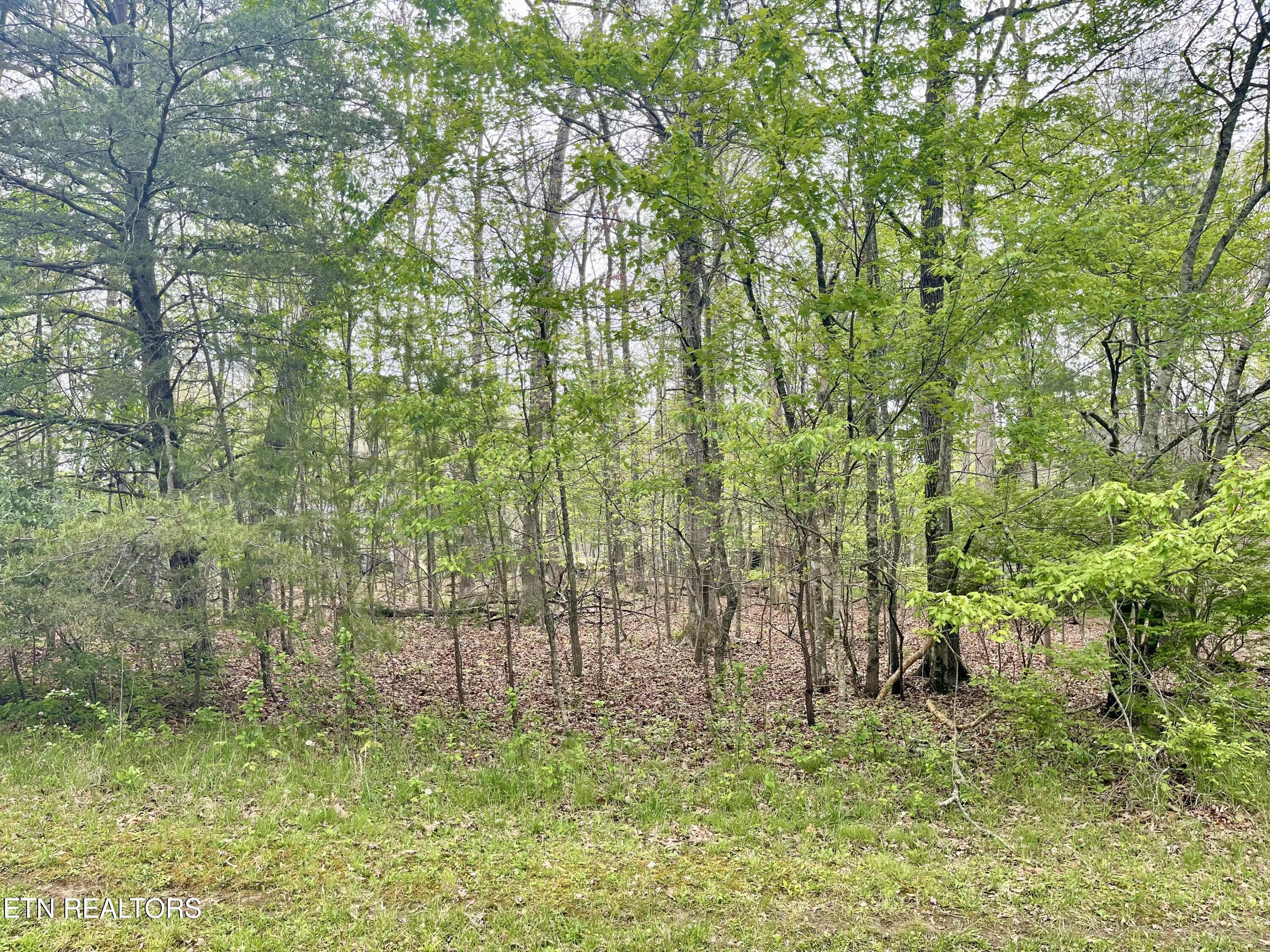 111 Rutgers Circle Crossville TN 38558