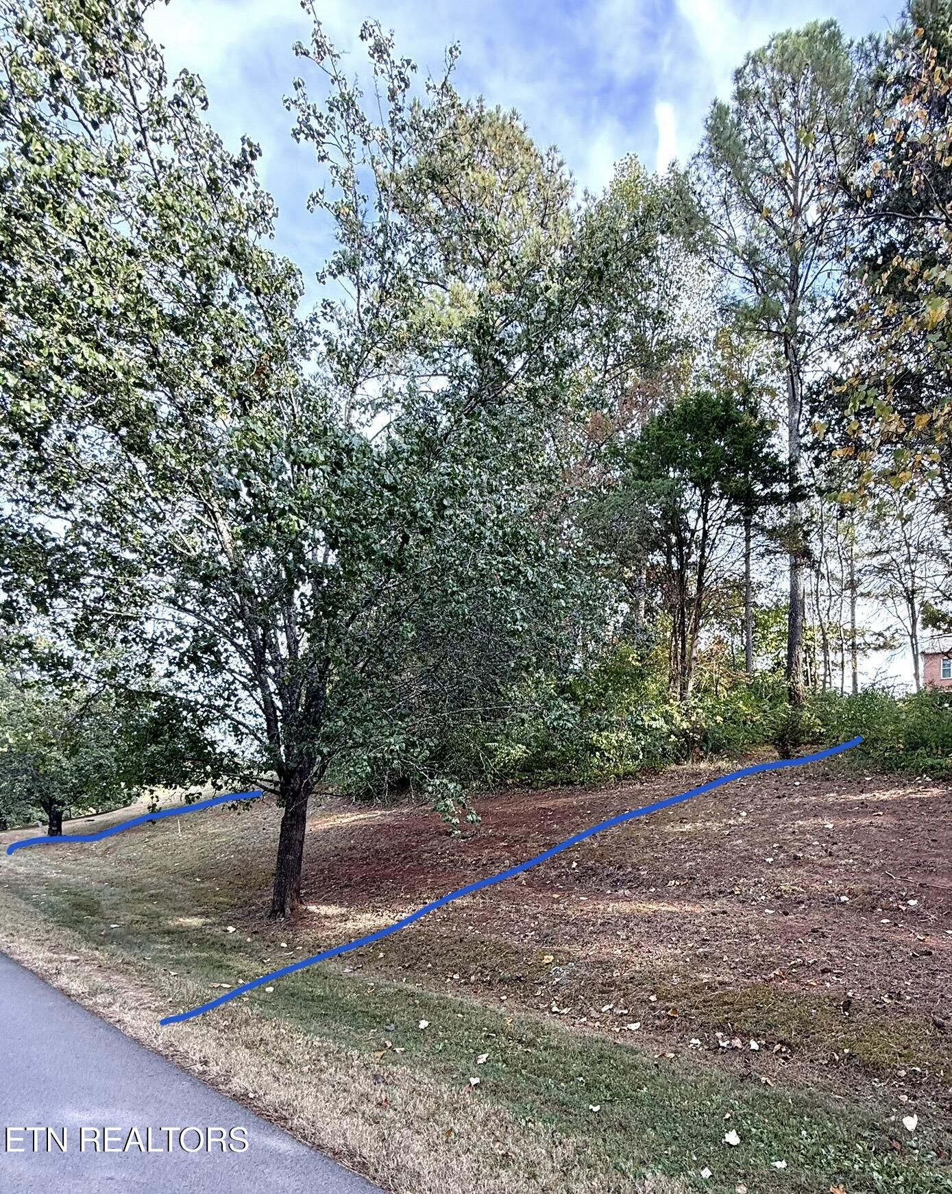 109 Timberlake Drive Greenback TN 37742