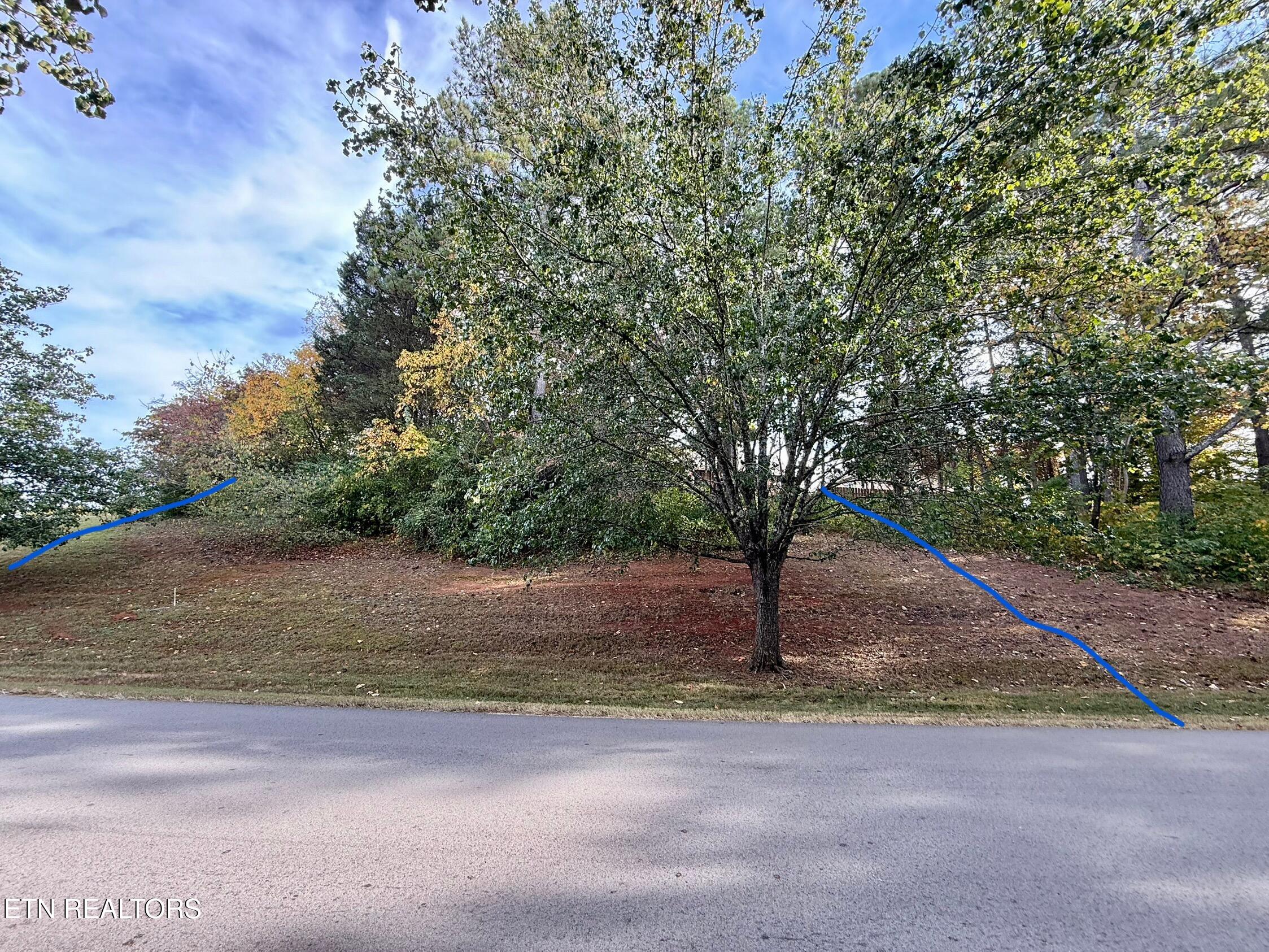 109 Timberlake Drive Greenback TN 37742