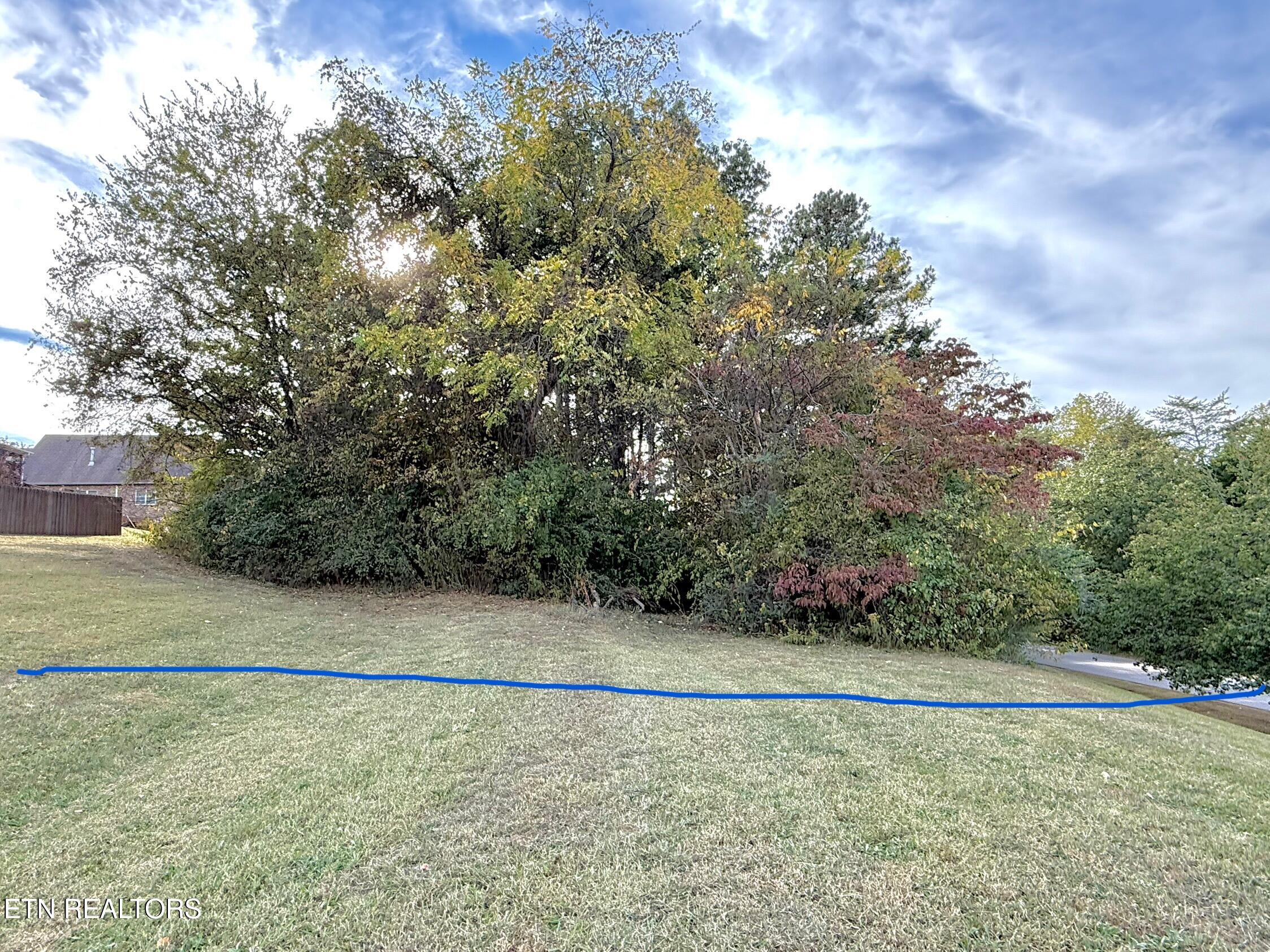 109 Timberlake Drive Greenback TN 37742