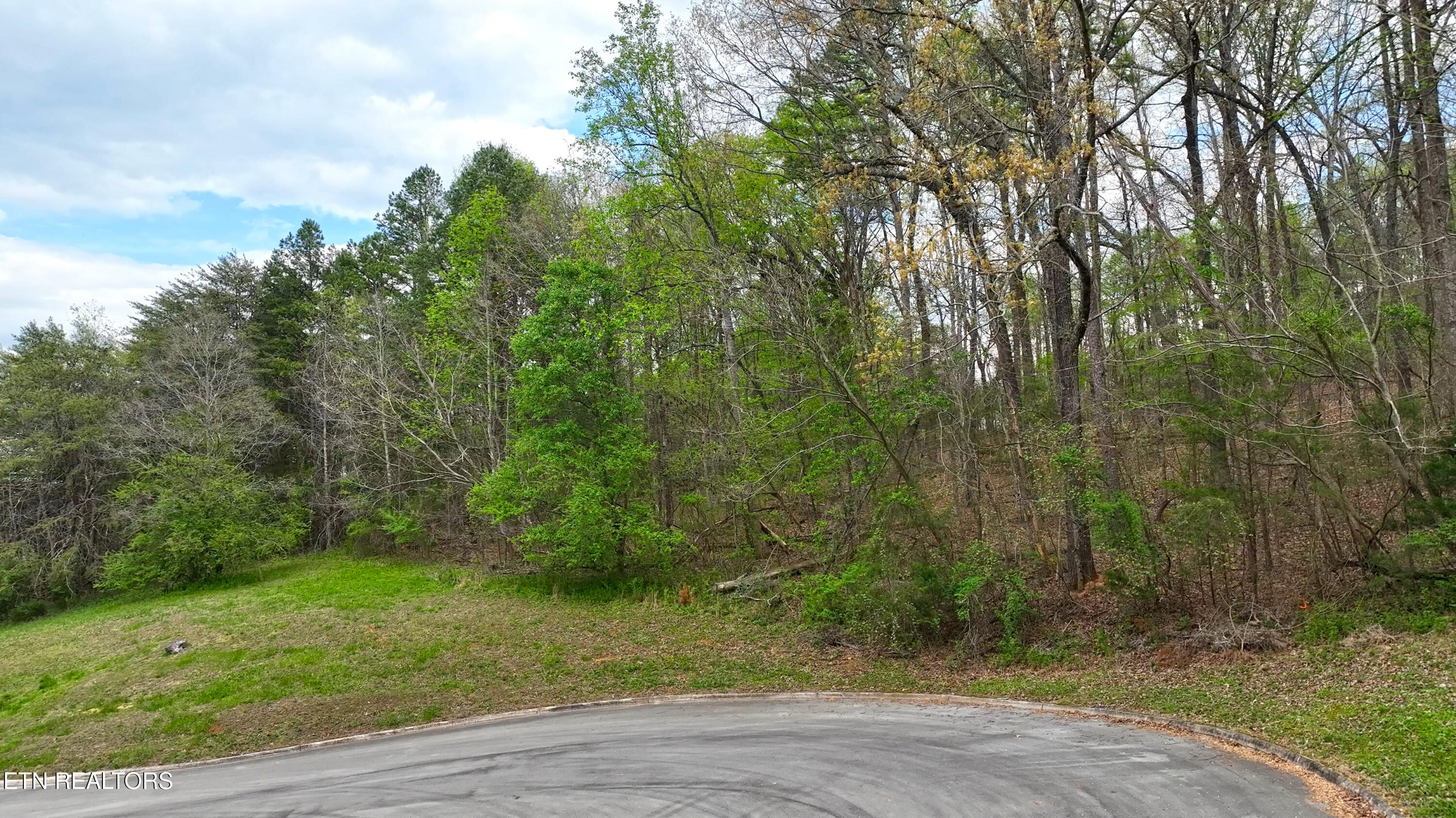 765 Wood Duck Drive Vonore TN 37885