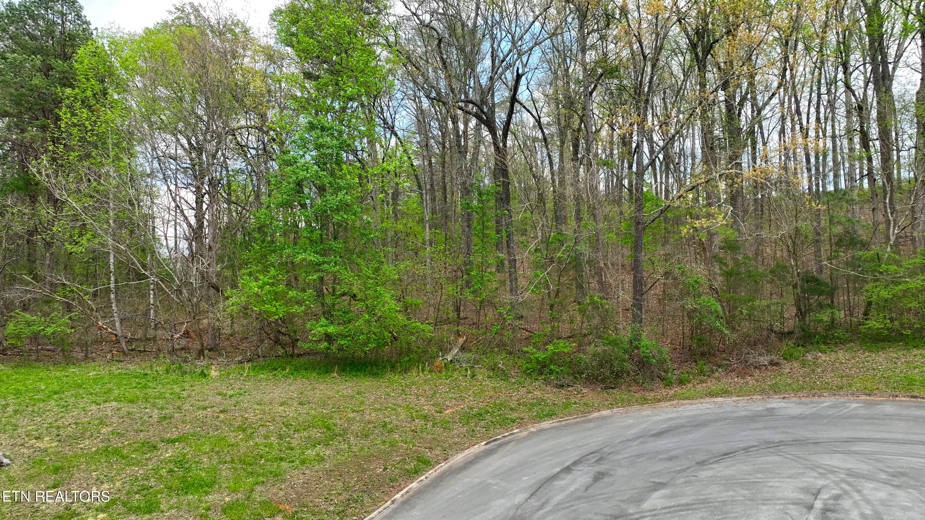 765 Wood Duck Drive Vonore TN 37885