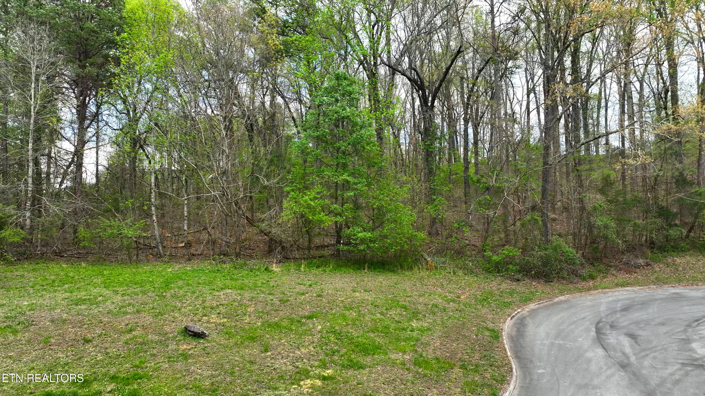 765 Wood Duck Drive Vonore TN 37885
