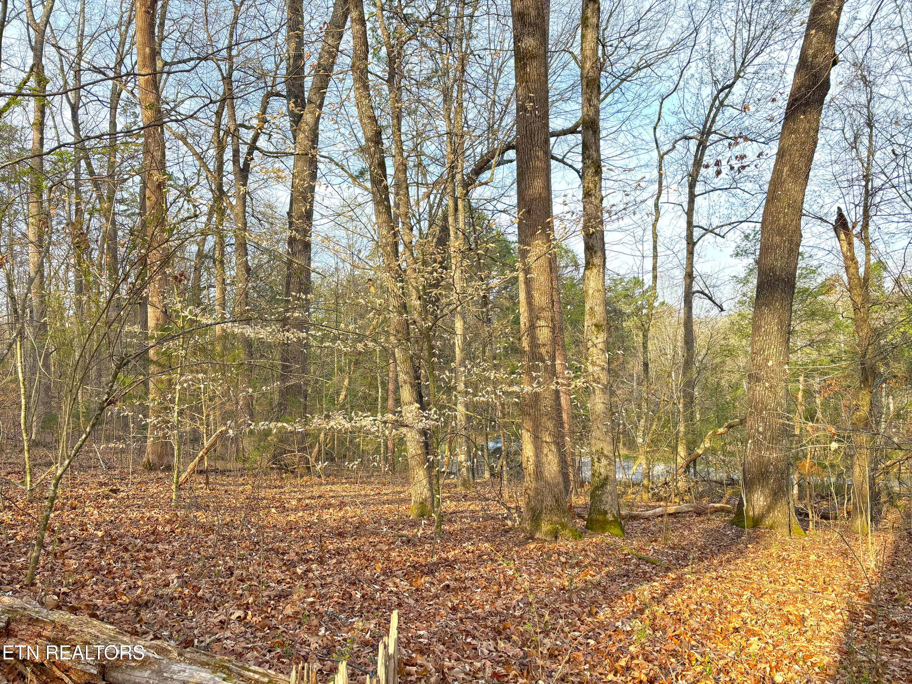 765 Wood Duck Drive Vonore TN 37885