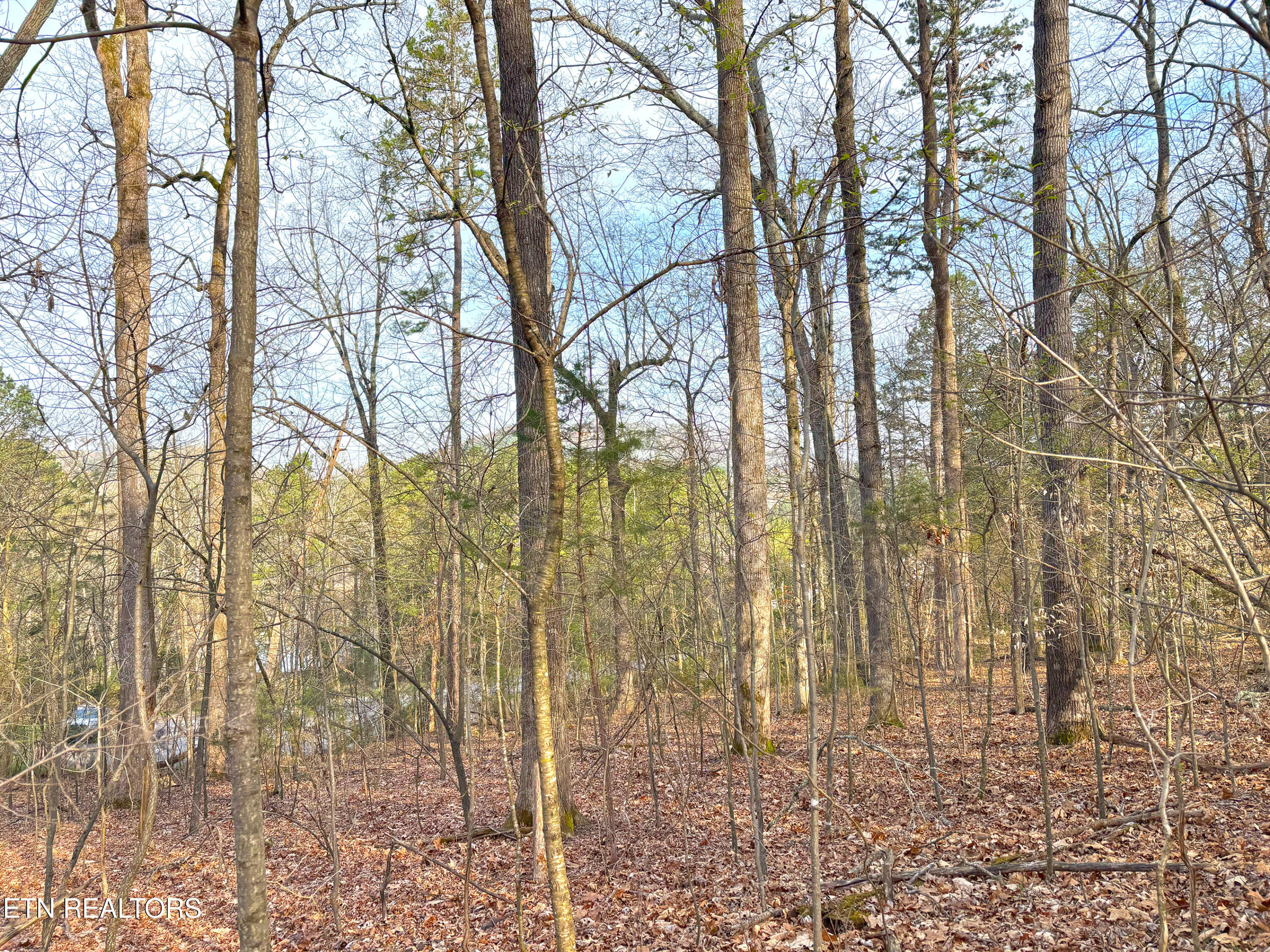 765 Wood Duck Drive Vonore TN 37885