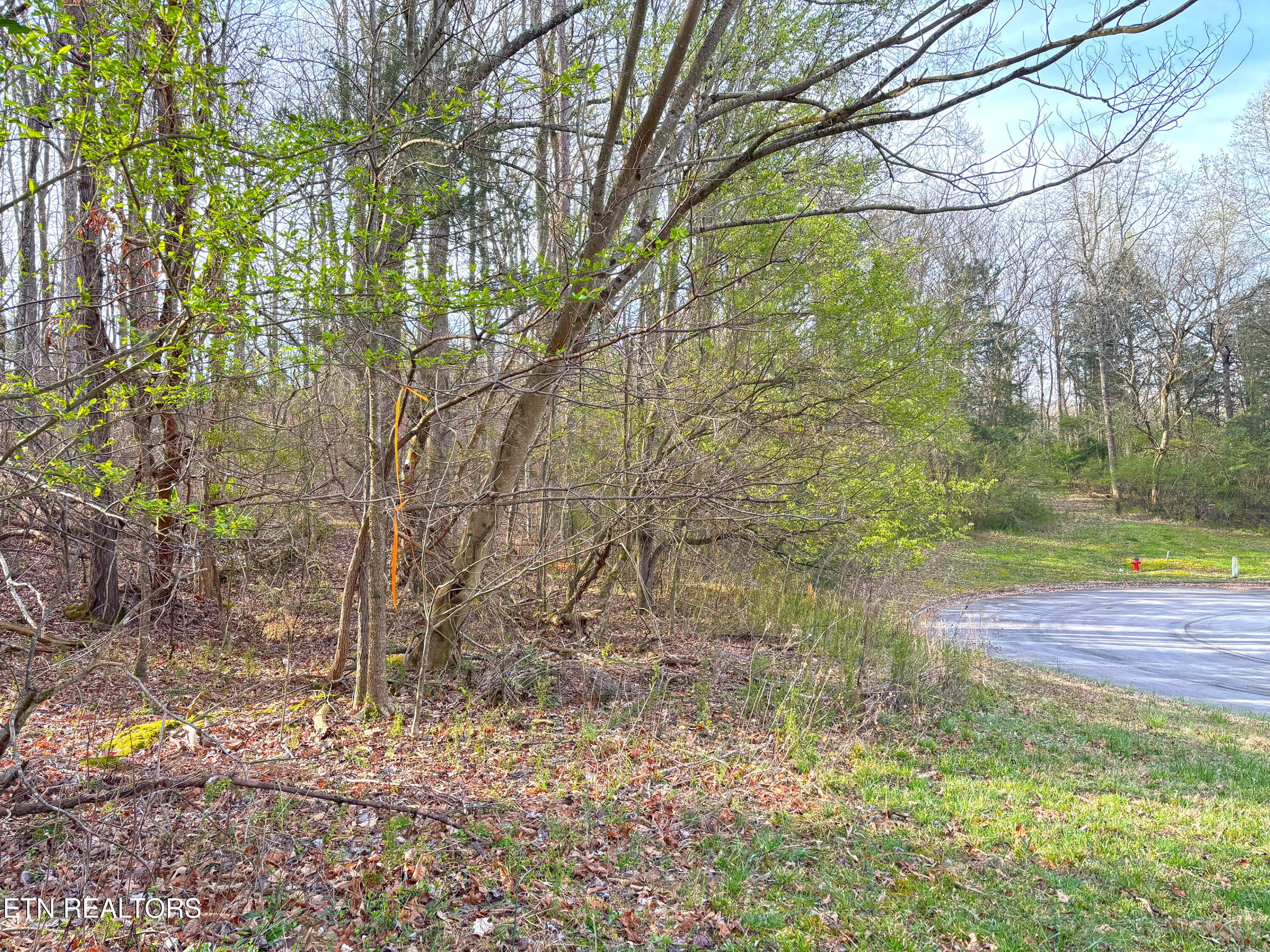 765 Wood Duck Drive Vonore TN 37885