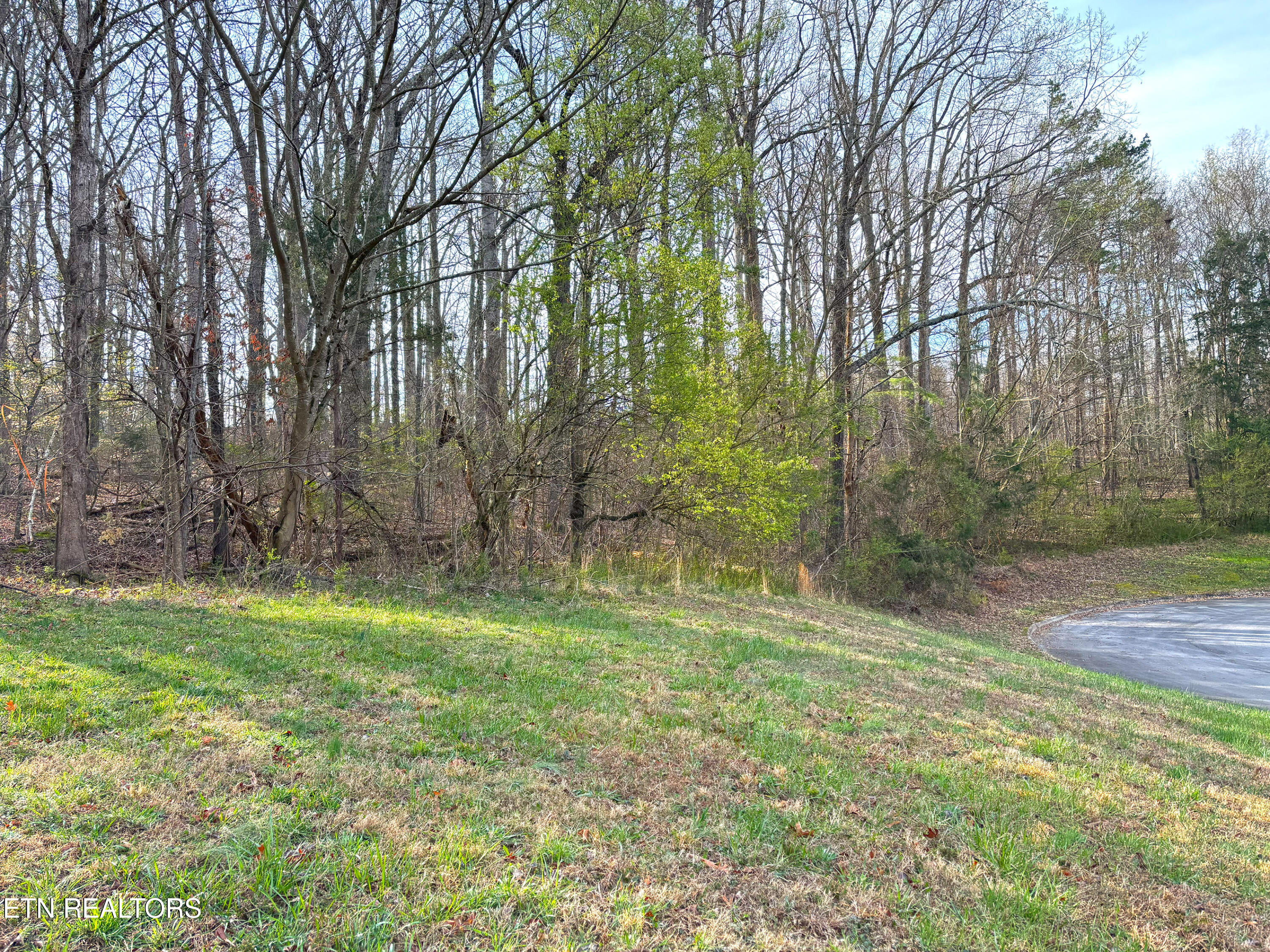 765 Wood Duck Drive Vonore TN 37885