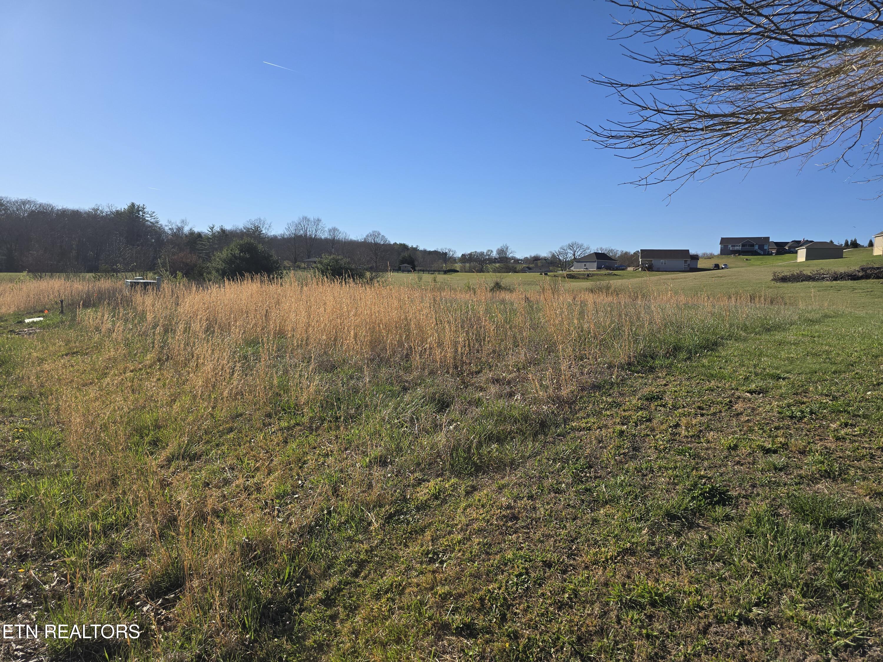 Lot 131 Estate Loop Trail Crossville TN 38555