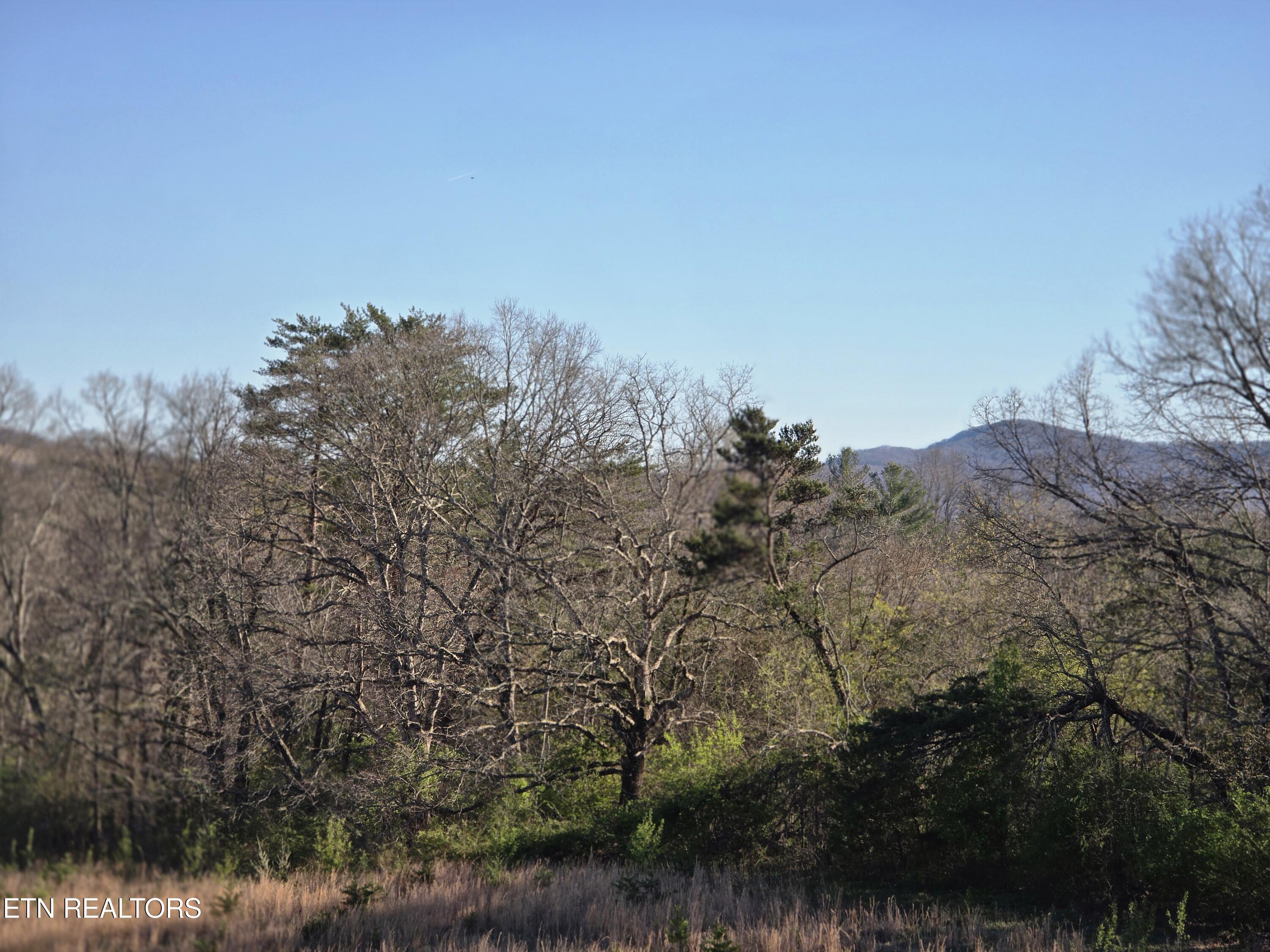 Lot 131 Estate Loop Trail Crossville TN 38555