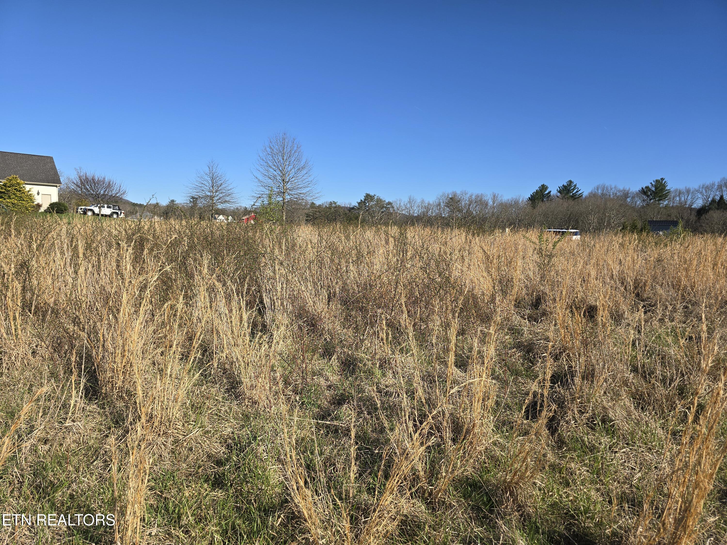Lot 131 Estate Loop Trail Crossville TN 38555