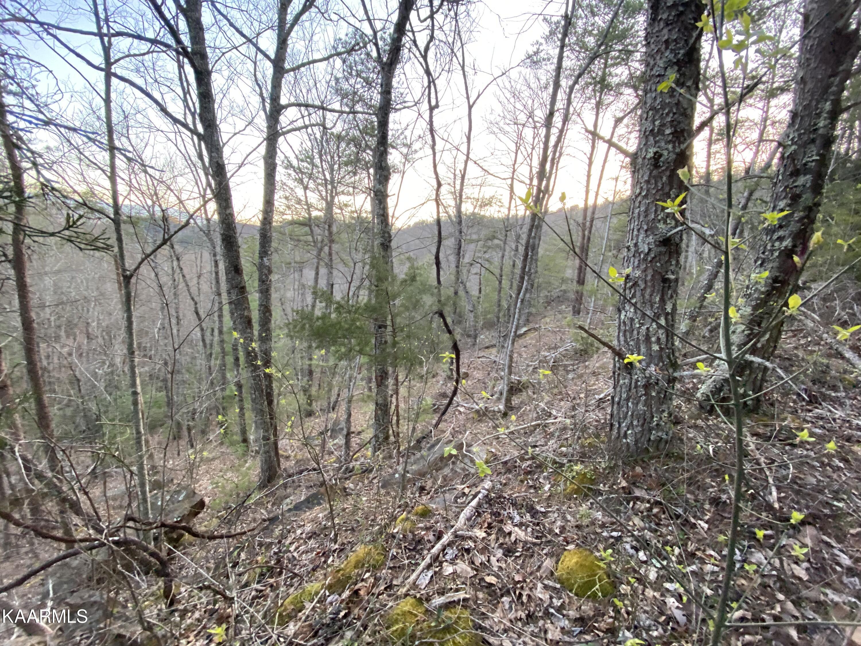 Lot 46 Beechwood Street Sevierville TN 37876
