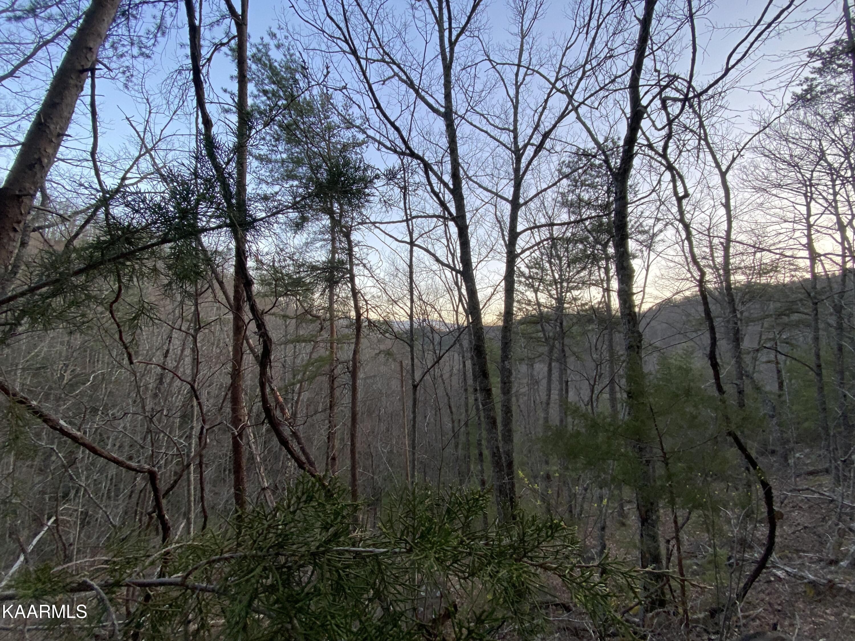 Lot 46 Beechwood Street Sevierville TN 37876
