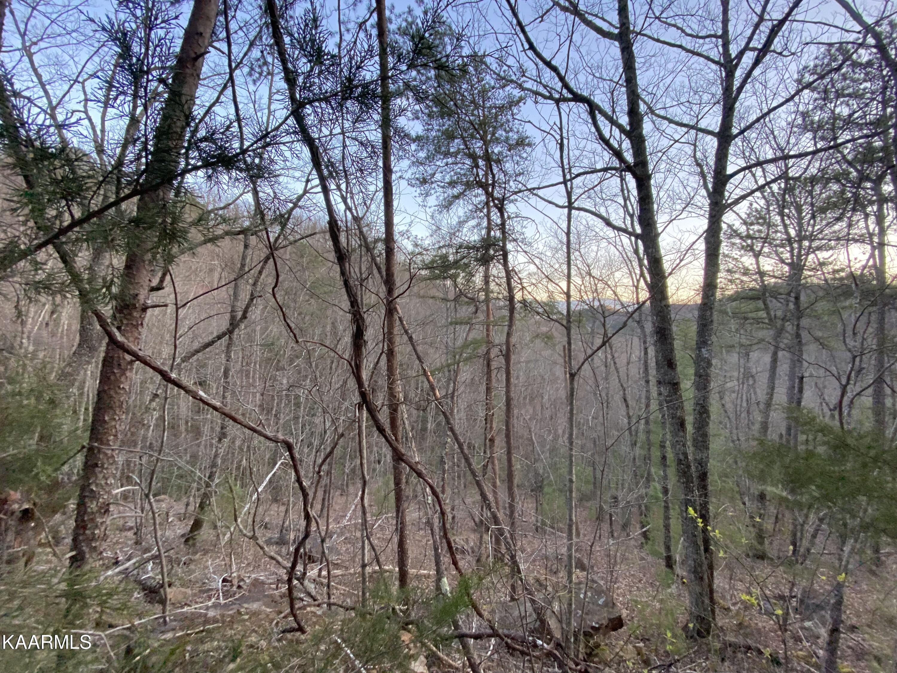 Lot 46 Beechwood Street Sevierville TN 37876